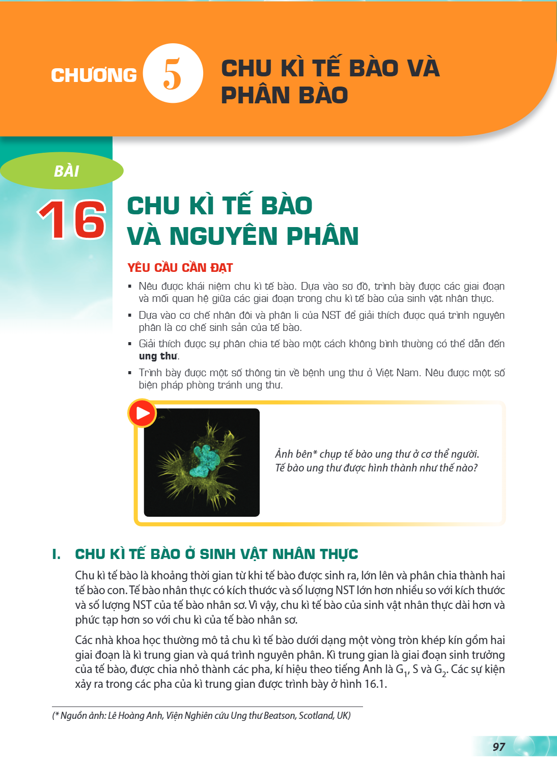 Bài 16. Chu kì tế bào và nguyên phân Bài 16. CHU KÌ TẾ BÀO VÀ NGUYÊN PHÂN YÊU CẦU CẦN ĐẠT Nêu được khái niệm chu kì tế bào. Dựa vào sơ đồ, trình bày được các gi