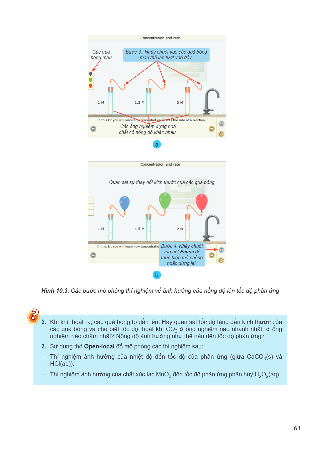 a b Hình 10.3. Các bước mô phỏng thí nghiệm về ảnh hưởng của nồng độ lên tốc độ phản ứng Khi khí thoát ra, các quả bóng to dần lên. Hãy quan sát tốc độ tăng dần