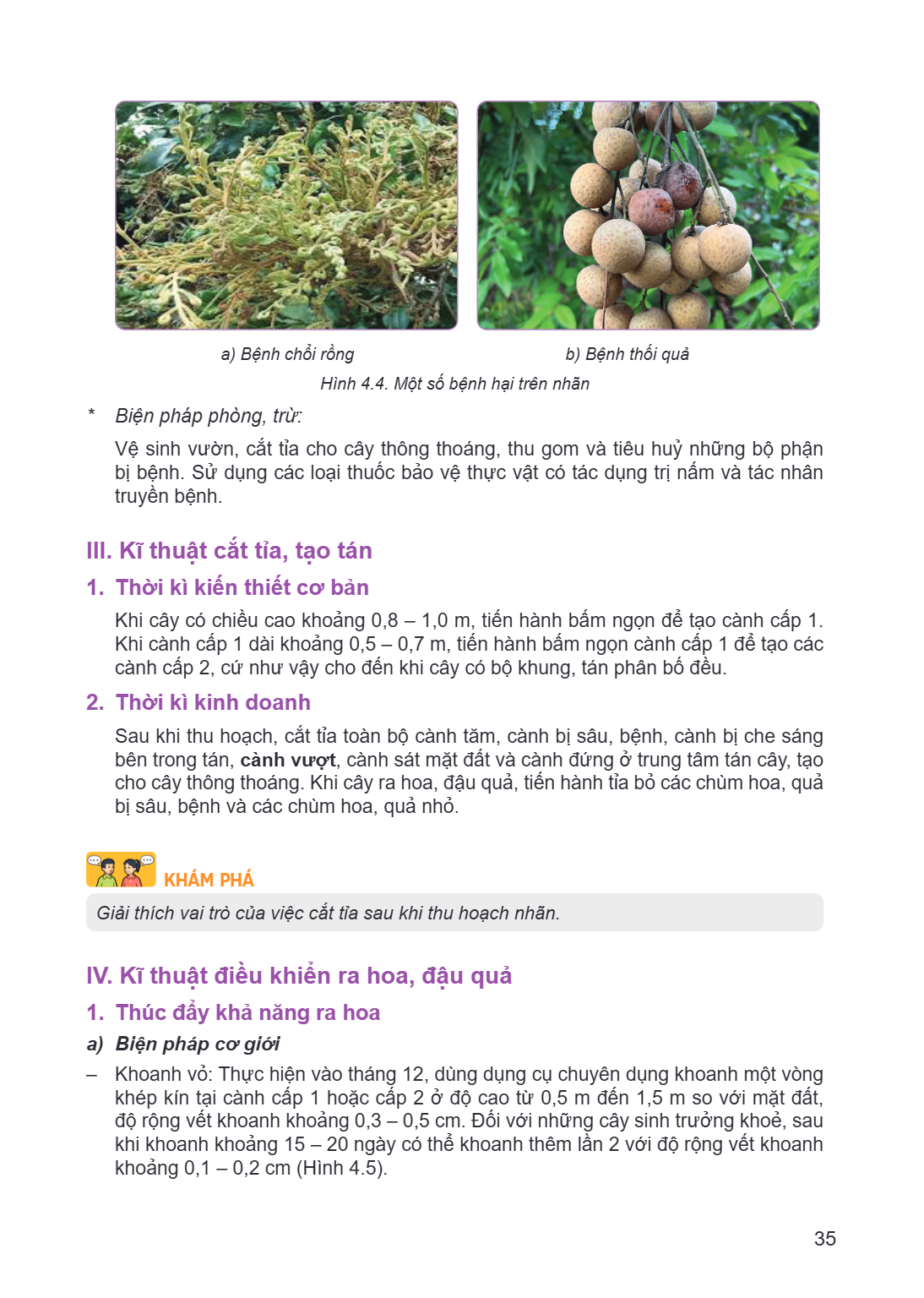 a) Bệnh chổi rồng b) Bệnh thối quả Hình 4.4. Một số bệnh hại trên nhãn * Biện pháp phòng, trừ: Vệ sinh vườn, cắt tỉa cho cây thông thoáng, thu gom và tiêu huỷ n