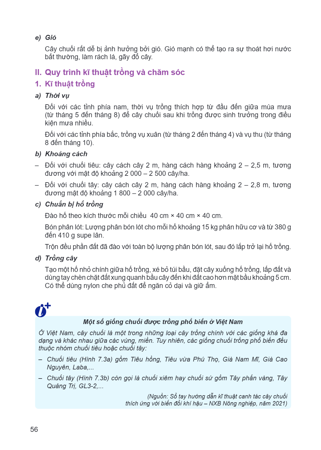 e) Gió Cây chuối rất dễ bị ảnh hưởng bởi gió. Gió mạnh có thể tạo ra sự thoát hơi nước bất thường, làm rách lá, gãy đổ cây. II. Quy trình kĩ thuật trồng và chăm
