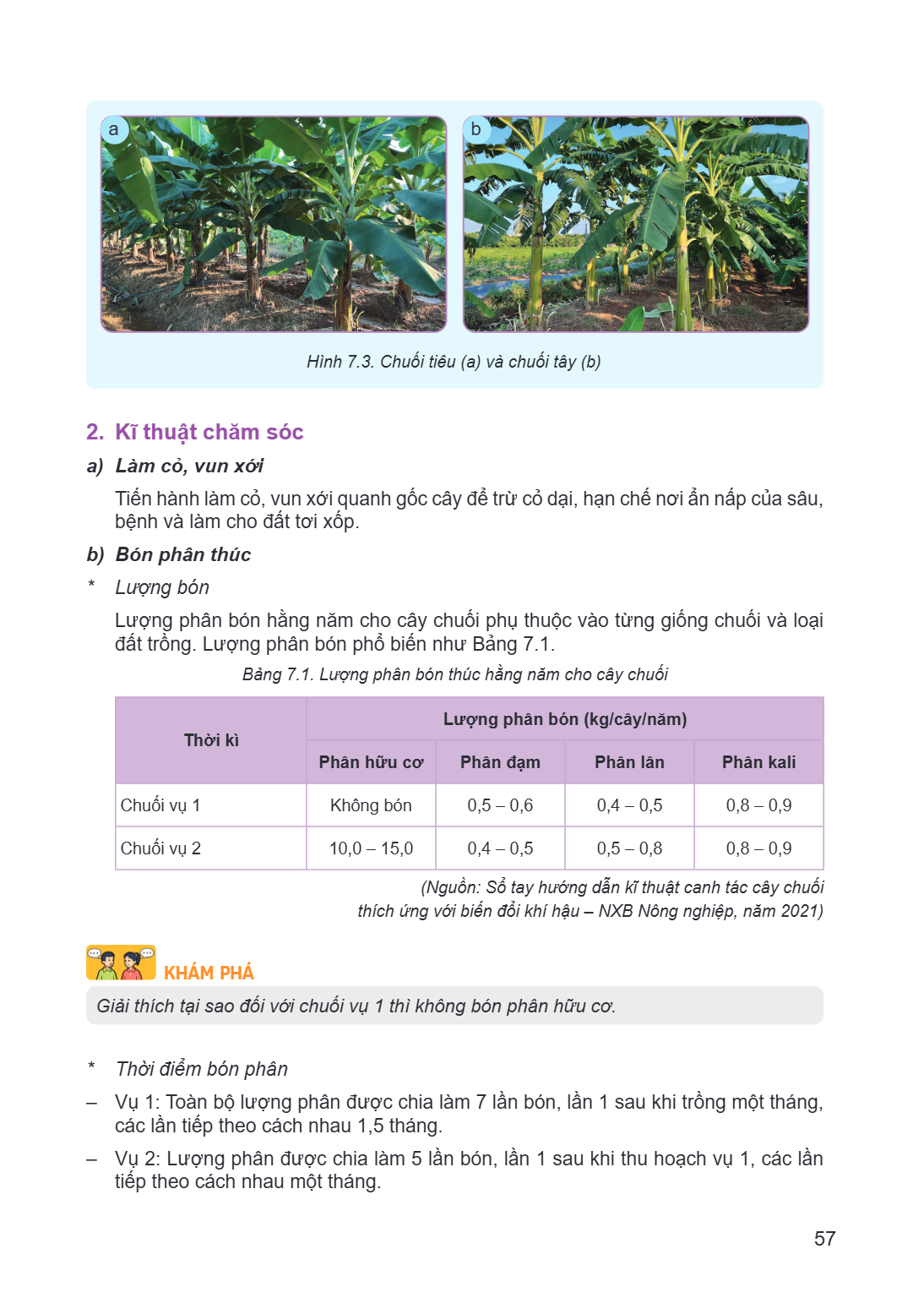 Hình 7.3. Chuối tiêu (a) và chuối tây (b) 2. Kĩ thuật chăm sóc a) Làm cỏ, vun xới Tiến hành làm cỏ, vun xới quanh gốc cây để trừ cỏ dại, hạn chế nơi ẩn nấp của 