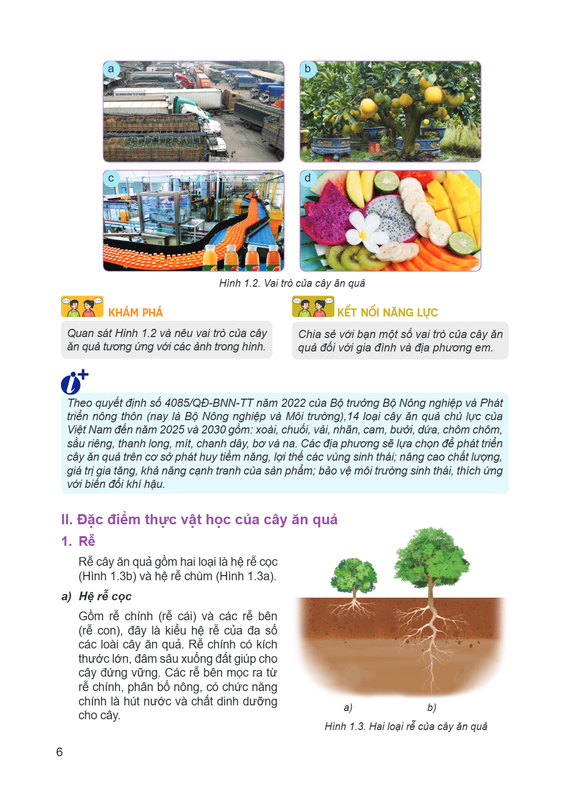 a b c d Hình 1.2. Vai trò của cây ăn quả Khám phá kết nối NĂNG LỰC Quan sát Hình 1.2 và nêu vai trò của cây Chia sẻ với bạn một số vai trò của cây ăn ăn quả tươ