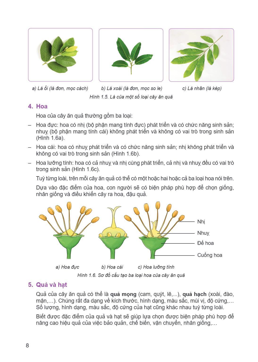 a) Lá ổi (lá đơn, mọc cách) b) Lá xoài (lá đơn, mọc so le) c) Lá nhãn (lá kép) Hình 1.5. Lá của một số loại cây ăn quả 4. Hoa Hoa của cây ăn quả thường gồm ba l