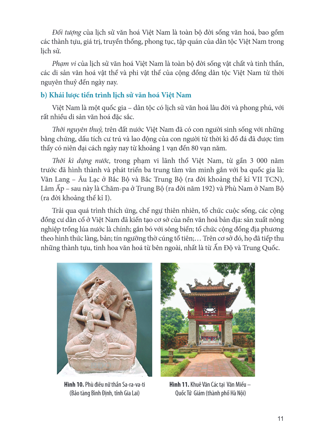 Đối tượng của lịch sử văn hoá Việt Nam là toàn bộ đời sống văn hoá, bao gồm các thành tựu, giá trị, truyền thống, phong tục, tập quán của dân tộc Việt Nam trong