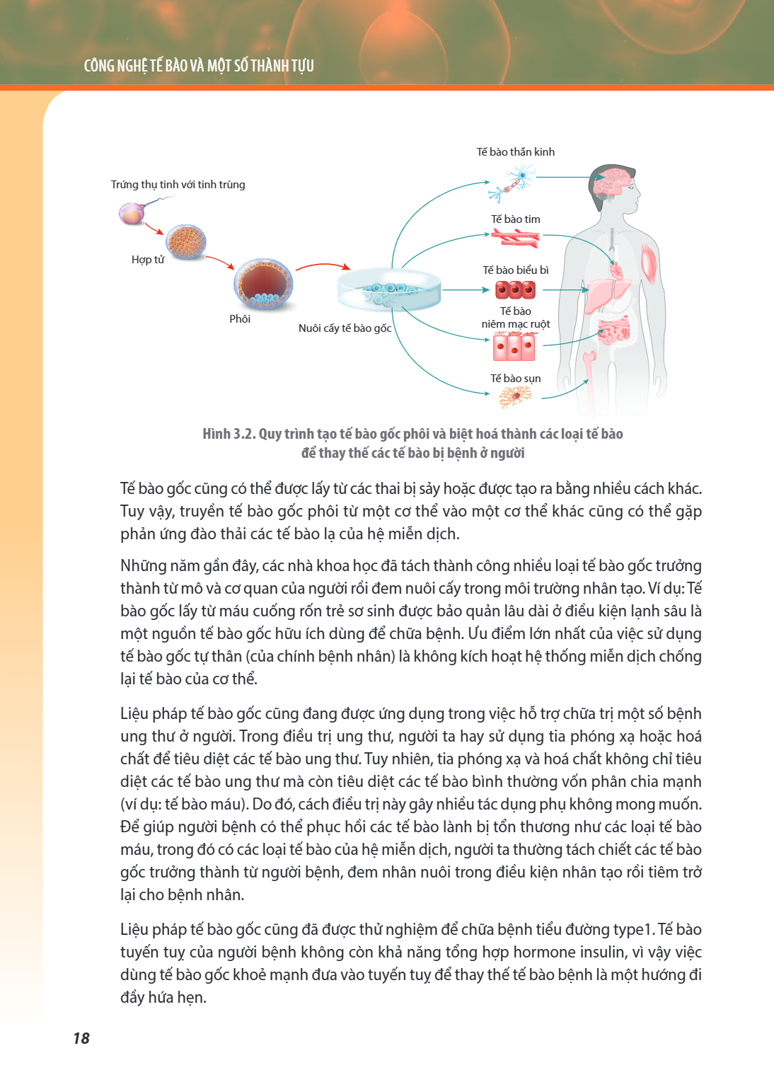 CHỦ ĐỀ 3: CÔNG NGHỆ TẾ BÀO VÀ MỘT SỐ THÀNH TỰU Hình 3.2. Quy trình tạo tế bào gốc phôi và biệt hoá thành các loại tế bào để thay thế các tế bào bị bệnh ở người 