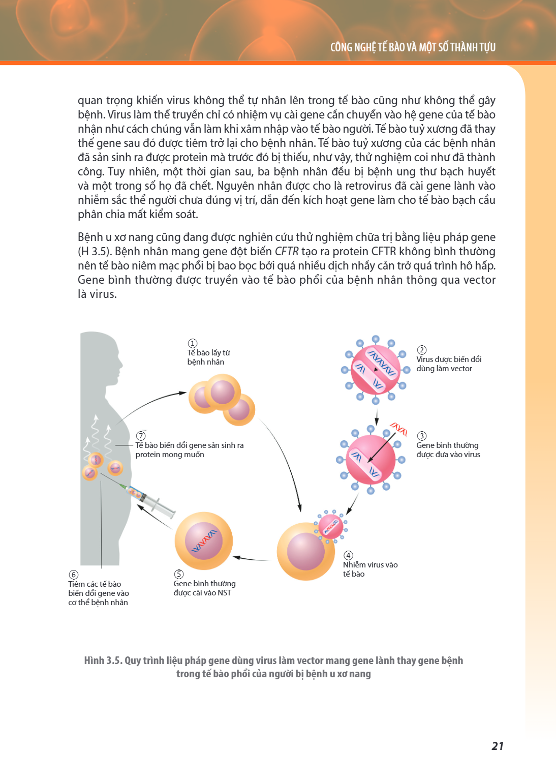 CÔNG NGHỆ TẾ BÀO VÀ MỘT SỐ THÀNH TỰU quan trọng khiến virus không thể tự nhân lên trong tế bào cũng như không thể gây bệnh. Virus làm thể truyền chỉ có nhiệm vụ