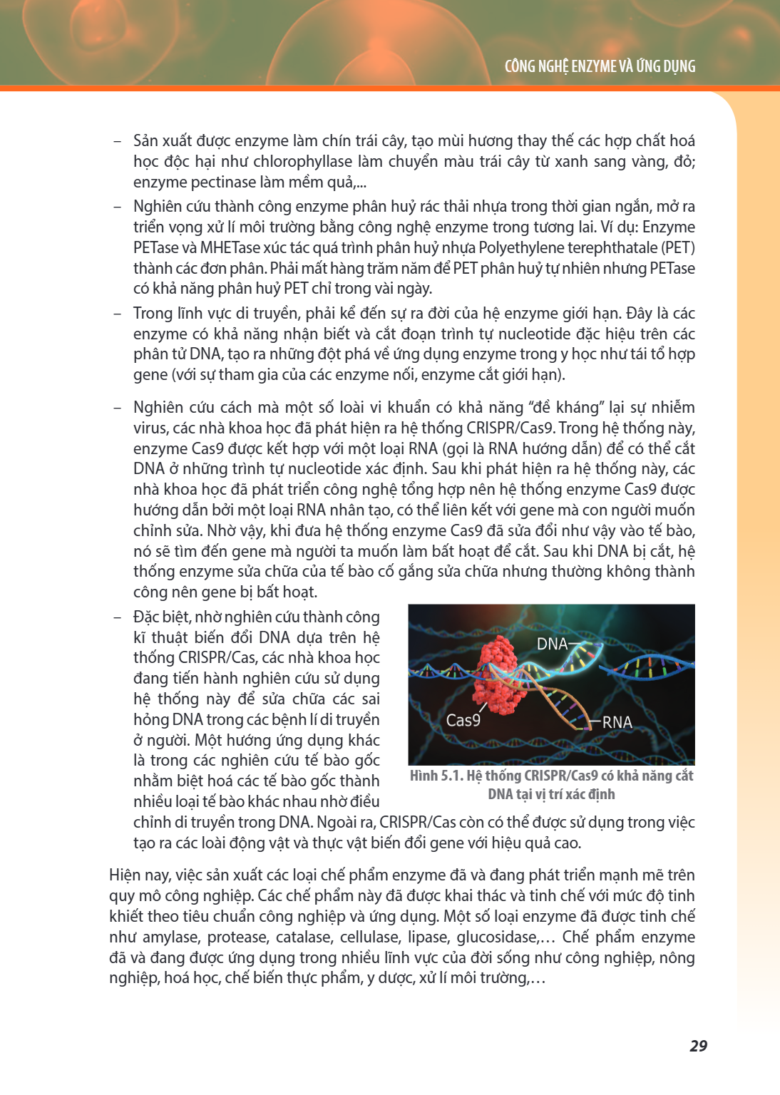 CÔNG NGHỆ ENZYME VÀ ỨNG DỤNG – Sản xuất được enzyme làm chín trái cây, tạo mùi hương thay thế các hợp chất hoá học độc hại như chlorophyllase làm chuyển màu trá