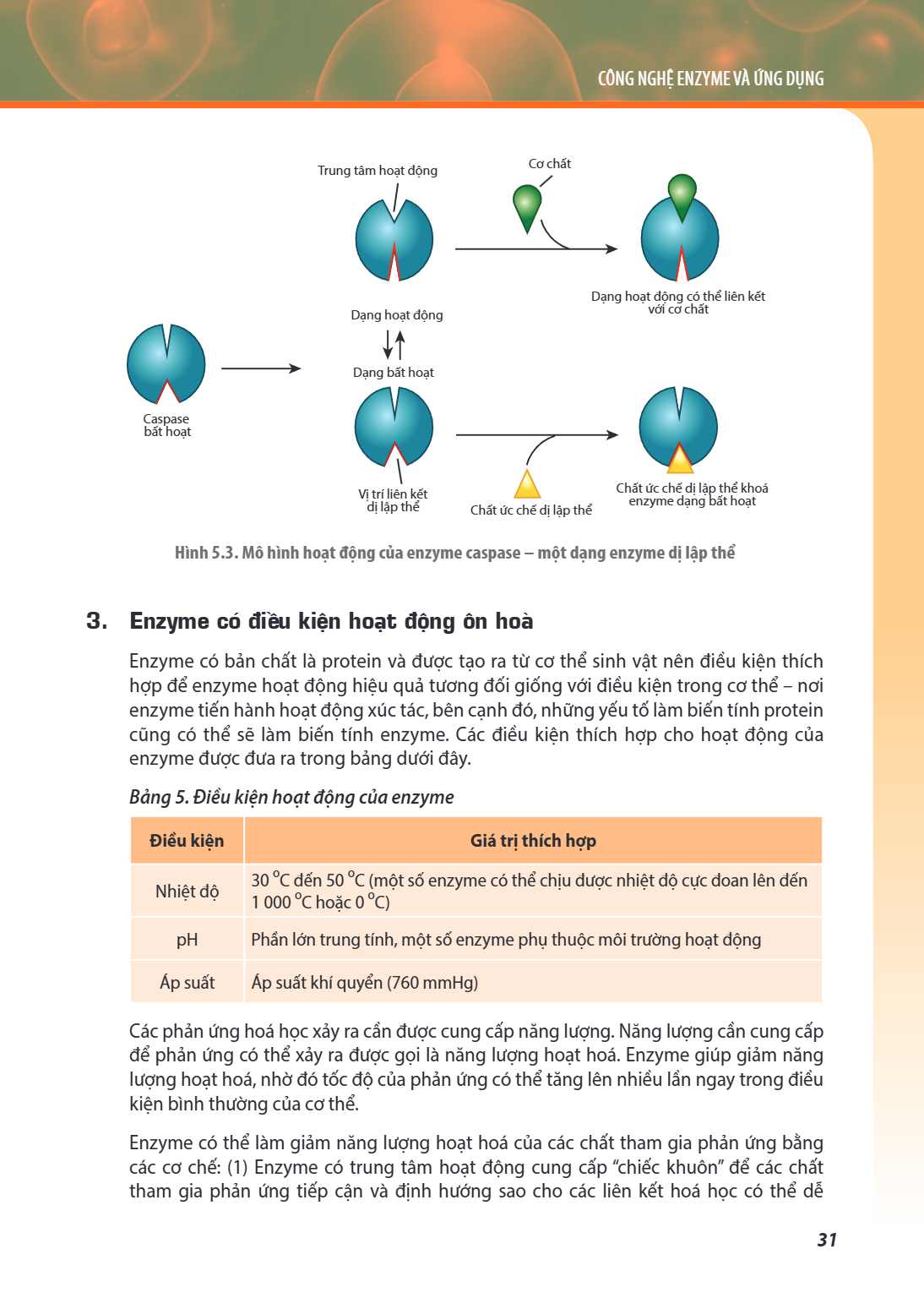 Chương ... CÔNG NGHỆ ENZYME VÀ ỨNG DỤNG Hình 5.3. Mô hình hoạt động của enzyme caspase – một dạng enzyme dị lập thể 3. Enzyme có điều kiện hoạt động ôn hoà Enzy