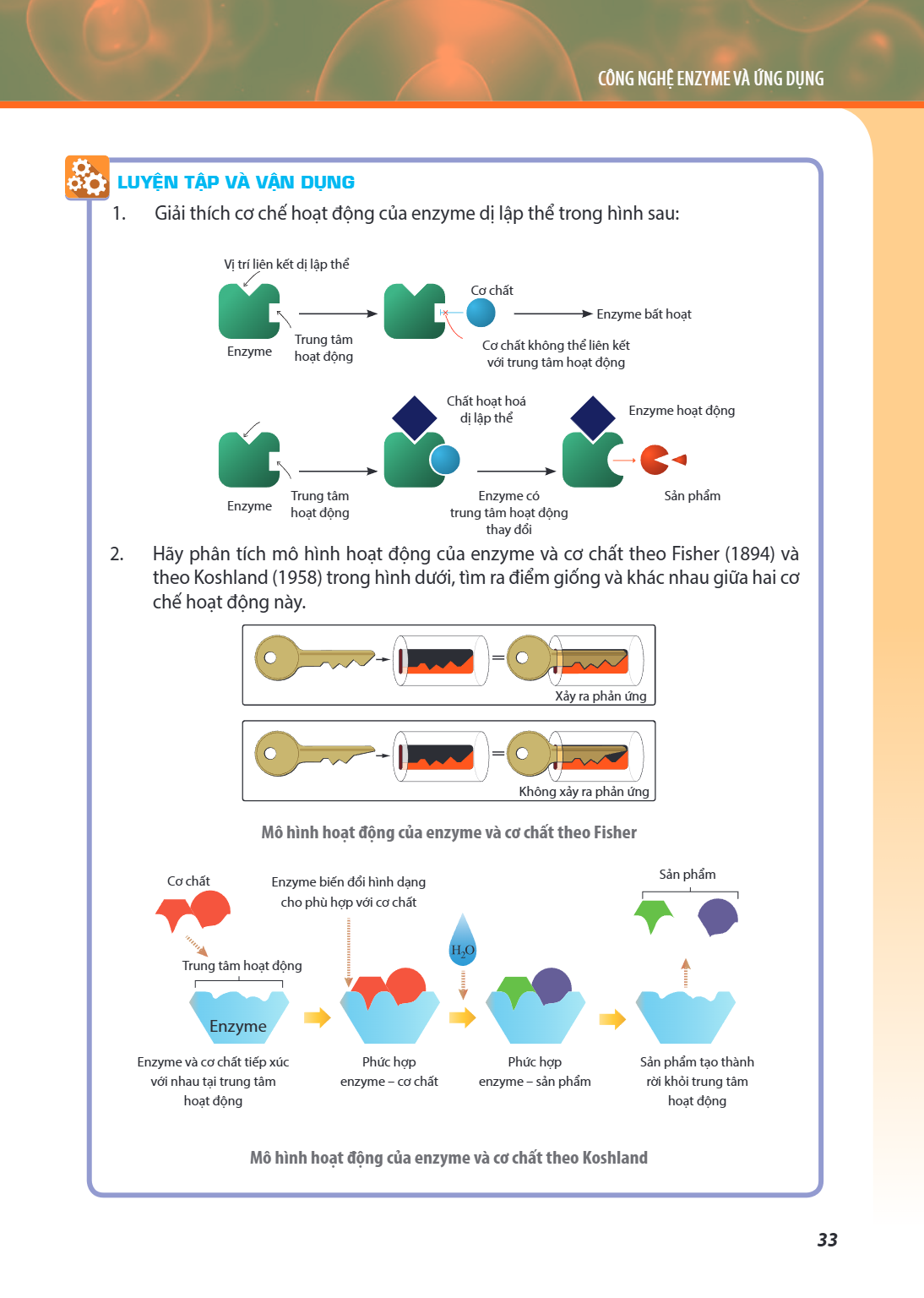 CÔNG NGHỆ ENZYME VÀ ỨNG DỤNG LUYỆN TẬP VÀ VẬN DỤNG Giải thích cơ chế hoạt động của enzyme dị lập thể trong hình sau: Vị trí liên kết dị lập thể Enzyme Trung tâm