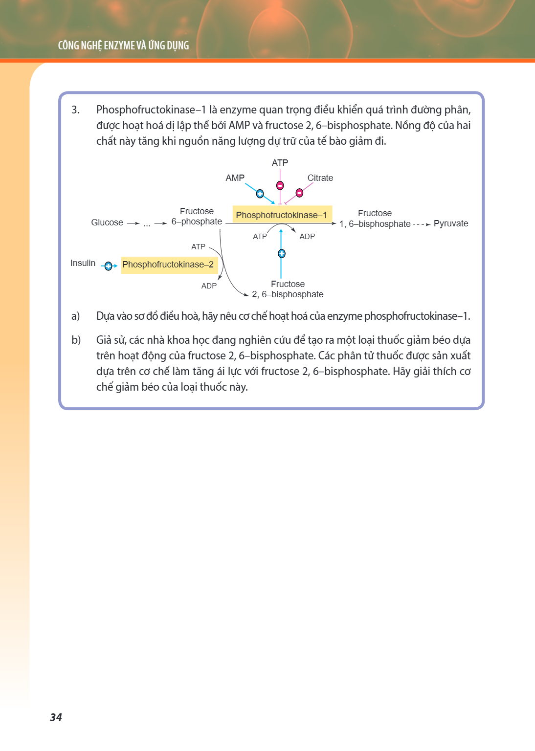 CÔNG NGHỆ ENZYME VÀ ỨNG DỤNG Phosphofructokinase–1 là enzyme quan trọng điều khiển quá trình đường phân, được hoạt hoá dị lập thể bởi AMP và fructose 2, 6–bisph