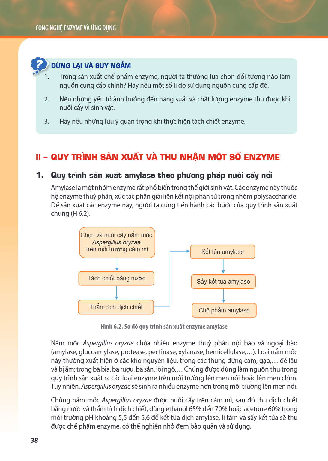 CÔNG NGHỆ ENZYME VÀ ỨNG DỤNG DỪNG LẠI VÀ SUY NGẪM Trong sản xuất chế phẩm enzyme, người ta thường lựa chọn đối tượng nào làm nguồn cung cấp chính? Hãy nêu một s