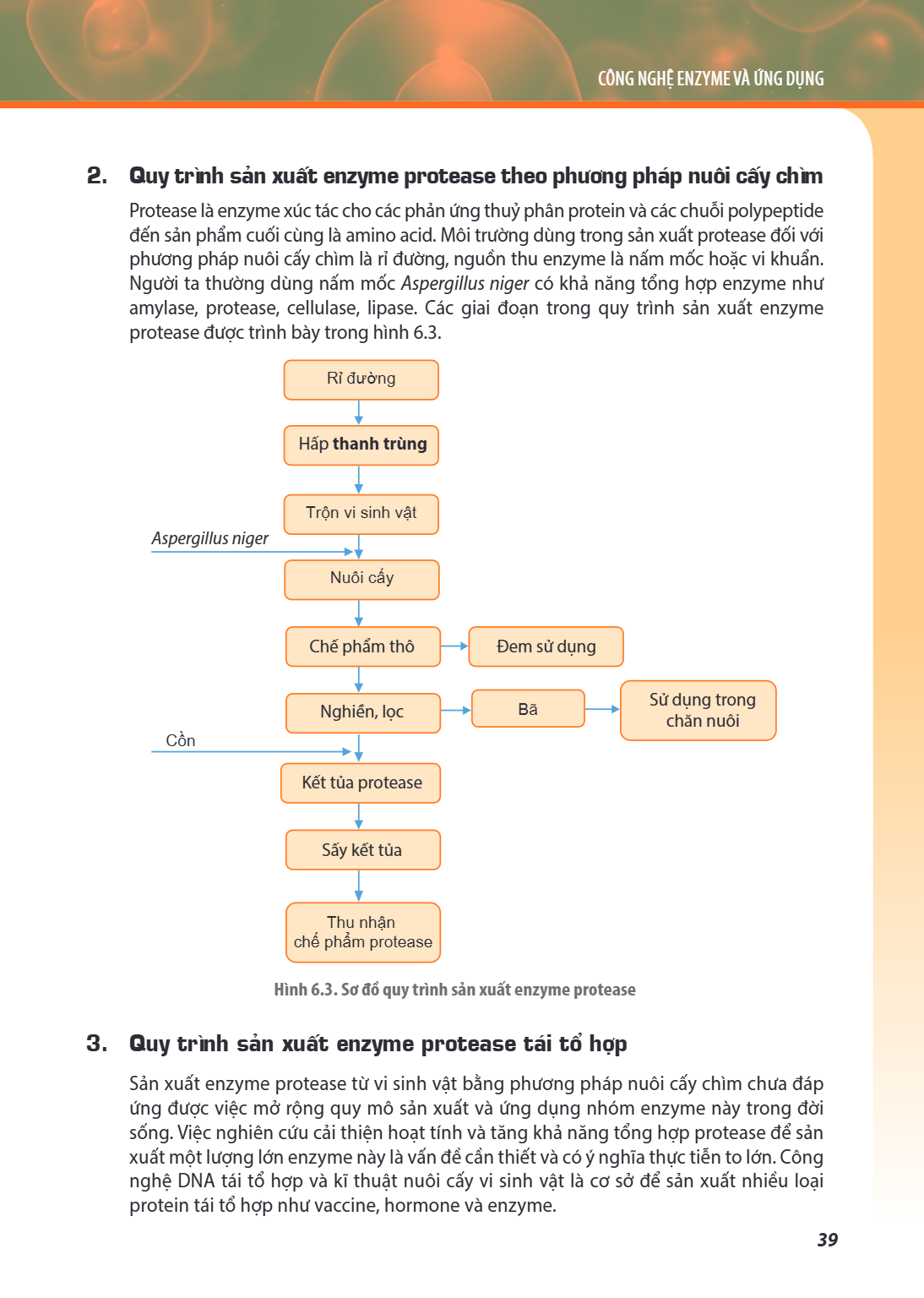 CÔNG NGHỆ ENZYME VÀ ỨNG DỤNG 2. Quy trình sản xuất enzyme protease theo phương pháp nuôi cấy chìm Protease là enzyme xúc tác cho các phản ứng thuỷ phân protein 