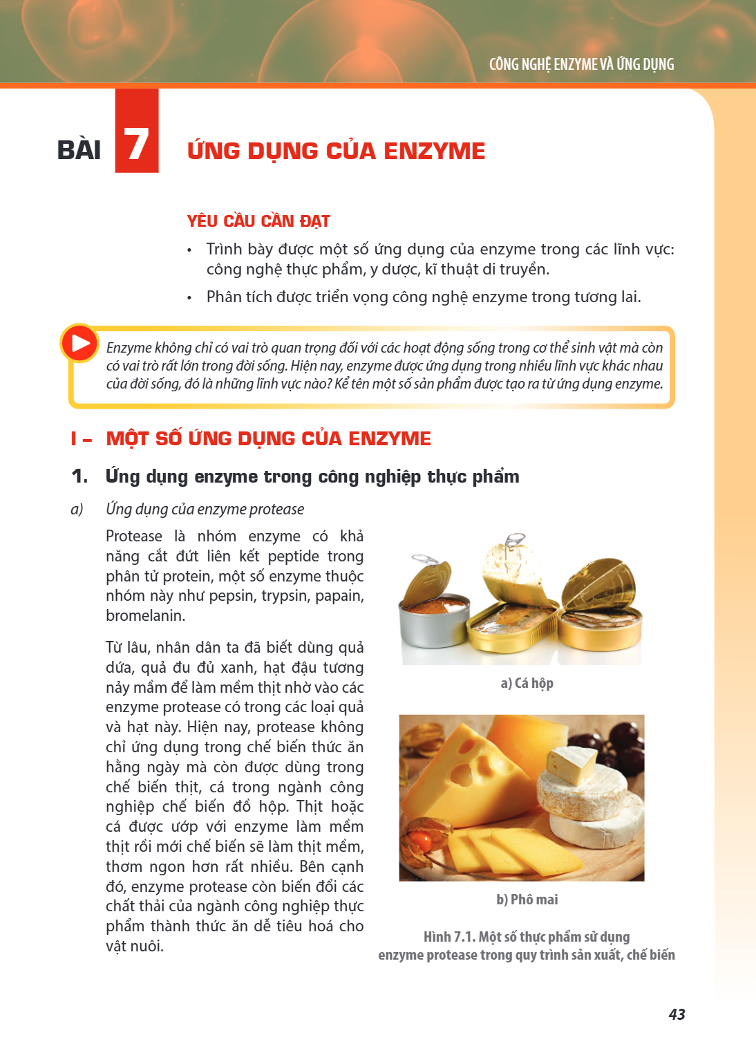 CÔNG NGHỆ ENZYME VÀ ỨNG DỤNG Bài 7. Ứng dụng của enzyme YÊU CẦU CẦN ĐẠT Trình bày được một số ứng dụng của enzyme trong các lĩnh vực: công nghệ thực phẩm, y dượ