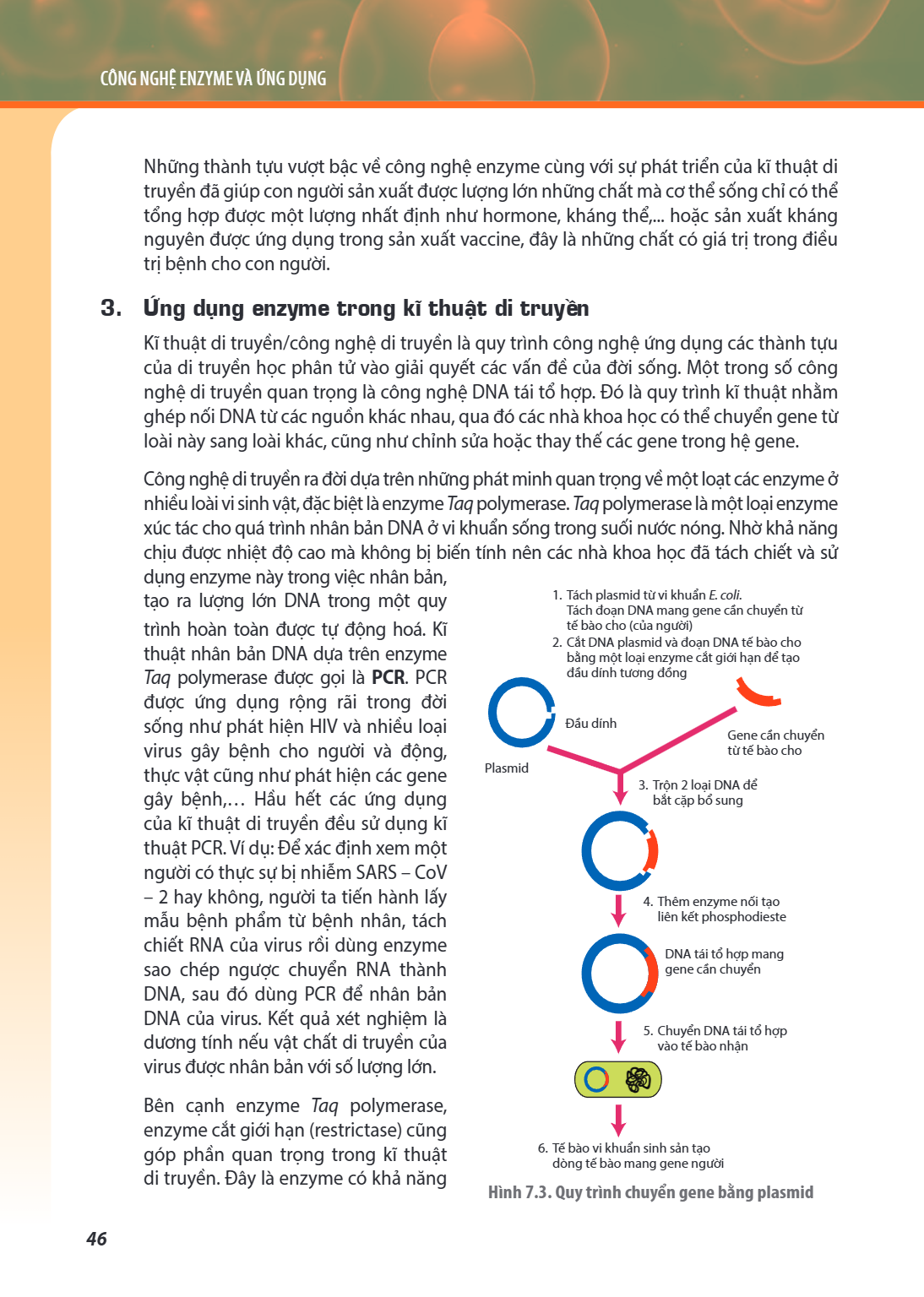 CHỦ ĐỀ 7. CÔNG NGHỆ ENZYME VÀ ỨNG DỤNG Những thành tựu vượt bậc về công nghệ enzyme cùng với sự phát triển của kĩ thuật di truyền đã giúp con người sản xuất đượ