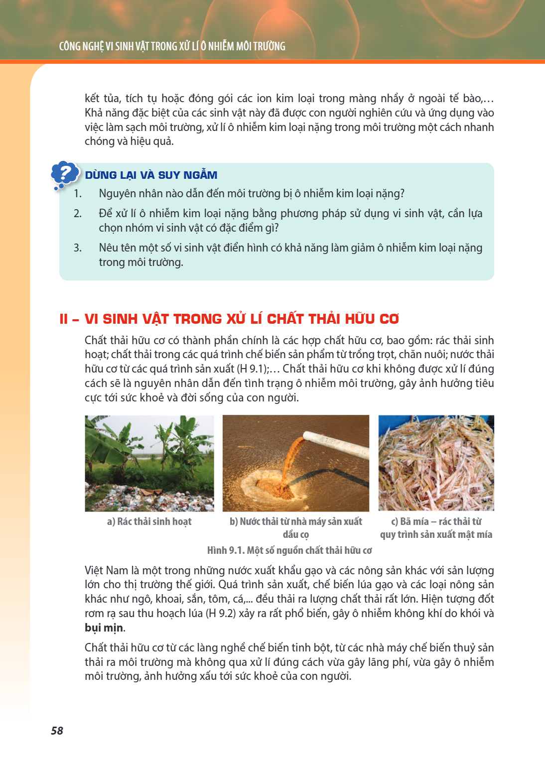 kết tủa, tích tụ hoặc đóng gói các ion kim loại trong màng nhầy ở ngoài tế bào,... Khả năng đặc biệt của các sinh vật này đã được con người nghiên cứu và ứng dụ
