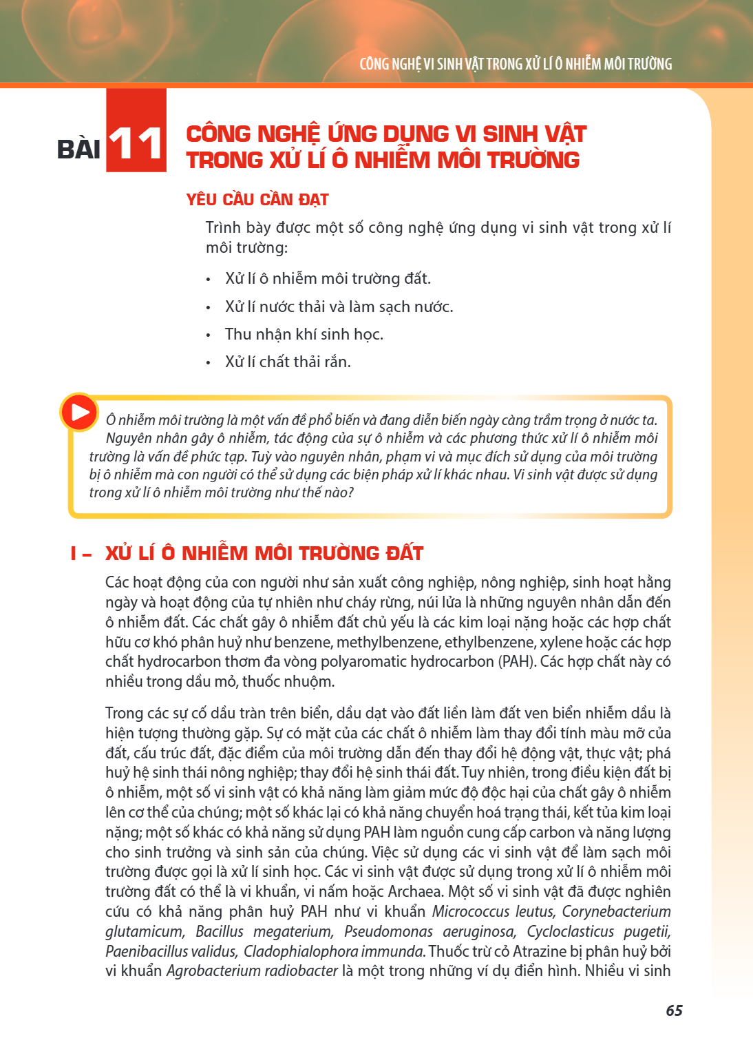 Bài 11. Công nghệ ứng dụng vi sinh vật trong xử lí ô nhiễm môi trường YÊU CẦU CẦN ĐẠT Trình bày được một số công nghệ ứng dụng vi sinh vật trong xử lí môi trườn