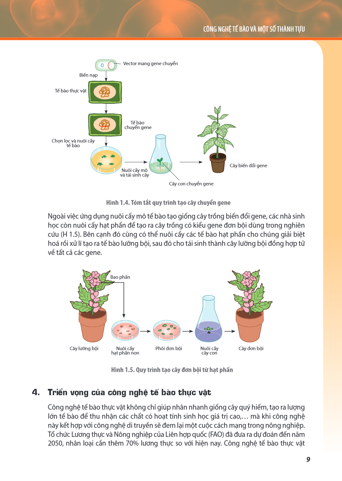 Chương 1. Thành tựu của công nghệ tế bào Hình 1.4. Tóm tắt quy trình tạo cây chuyển gene Ngoài việc ứng dụng nuôi cấy mô tế bào tạo giống cây trồng biến đổi gen
