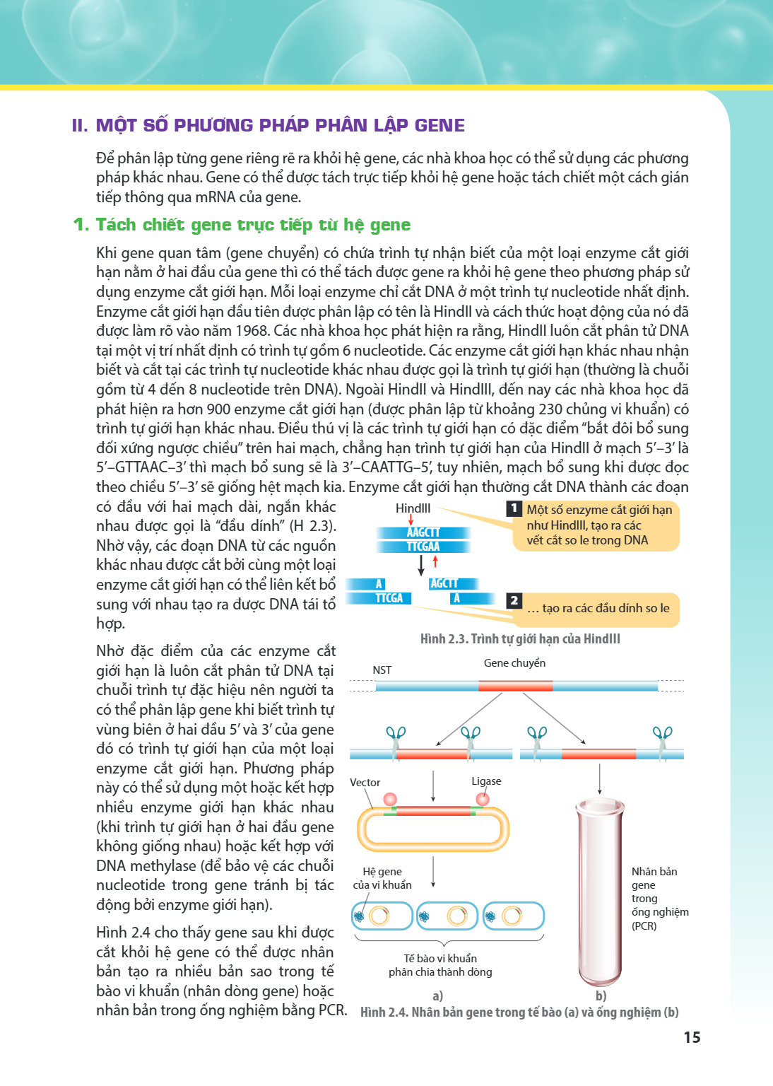II. MỘT SỐ PHƯƠNG PHÁP PHÂN LẬP GENE Để phân lập từng gene riêng rẽ ra khỏi hệ gene, các nhà khoa học có thể sử dụng các phương pháp khác nhau. Gene có thể được