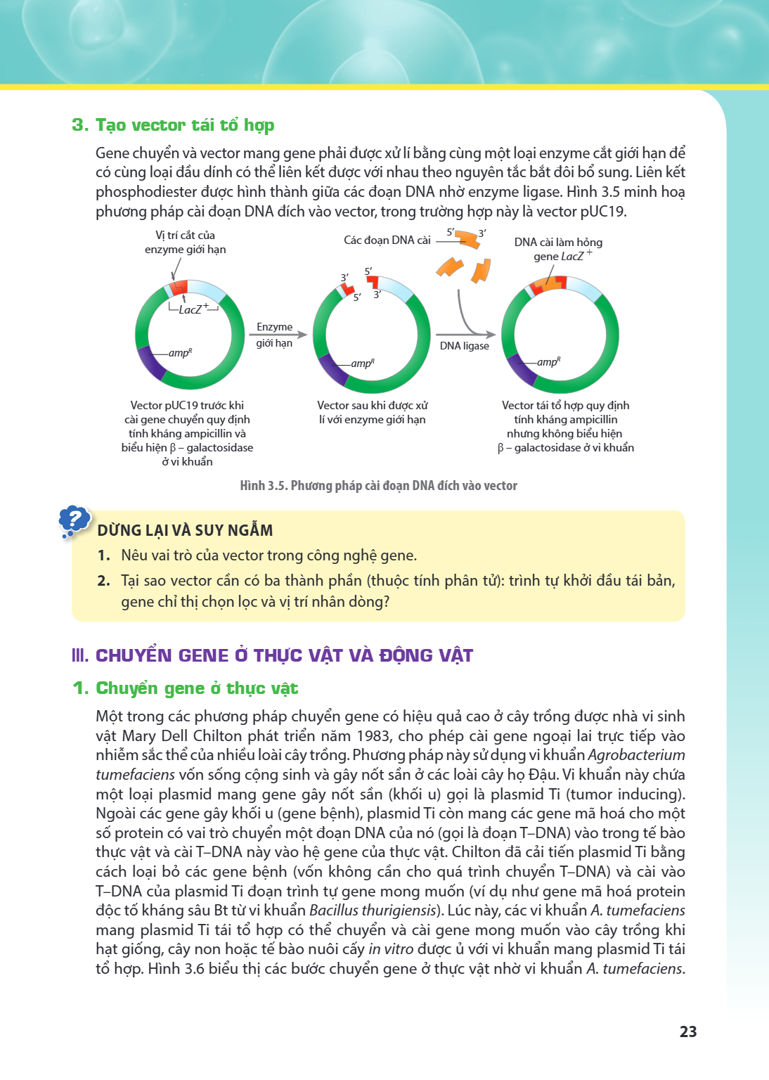 3. Tạo vector tái tổ hợp Gene chuyển và vector mang gene phải được xử lí bằng cùng một loại enzyme cắt giới hạn để có cùng loại đầu dính có thể liên kết được vớ