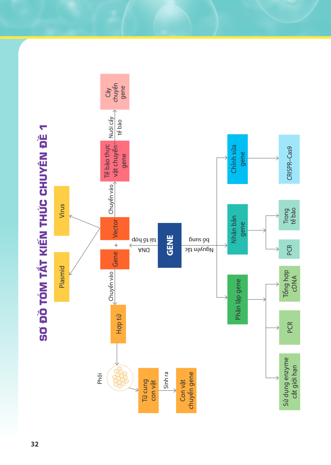 SƠ ĐỒ TÓM TẮT KIẾN THỨC CHUYÊN ĐỀ 1 Plasmid Virus Hợp tử Chuyển vào Gene + Vector DNA tái tổ hợp GENE Nguyên tắc bổ sung Phôi Tử cung con vật Sinh ra Con vật ch