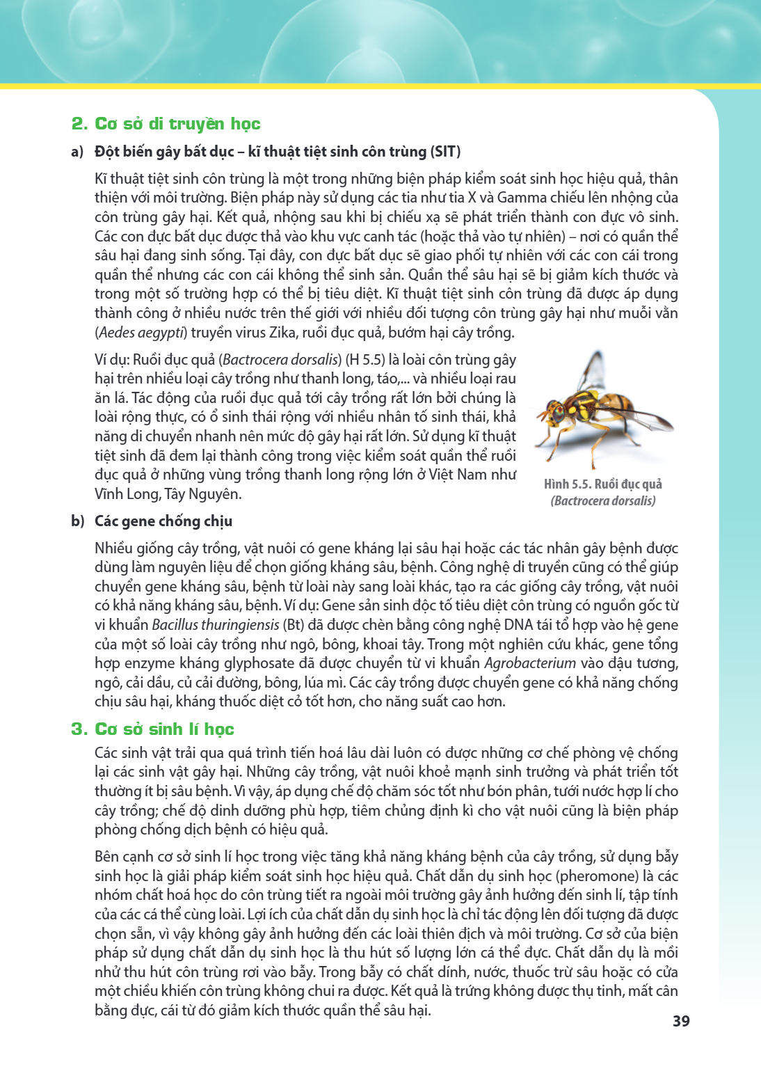 2. Cơ sở di truyền học a) Đột biến gây bất dục – kĩ thuật triệt sinh côn trùng (SIT) Kĩ thuật triệt sinh côn trùng là một trong những biện pháp kiểm soát sinh h