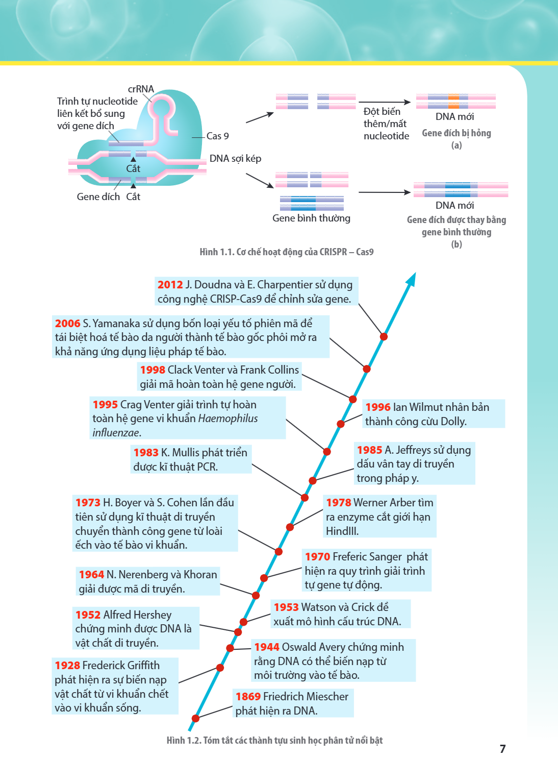 Hình 1.1. Cơ chế hoạt động của CRISPR – Cas9 2012 J. Doudna và E. Charpentier sử dụng công nghệ CRISP-Cas9 để chỉnh sửa gene. 2006 S. Yamanaka sử dụng bốn loại 