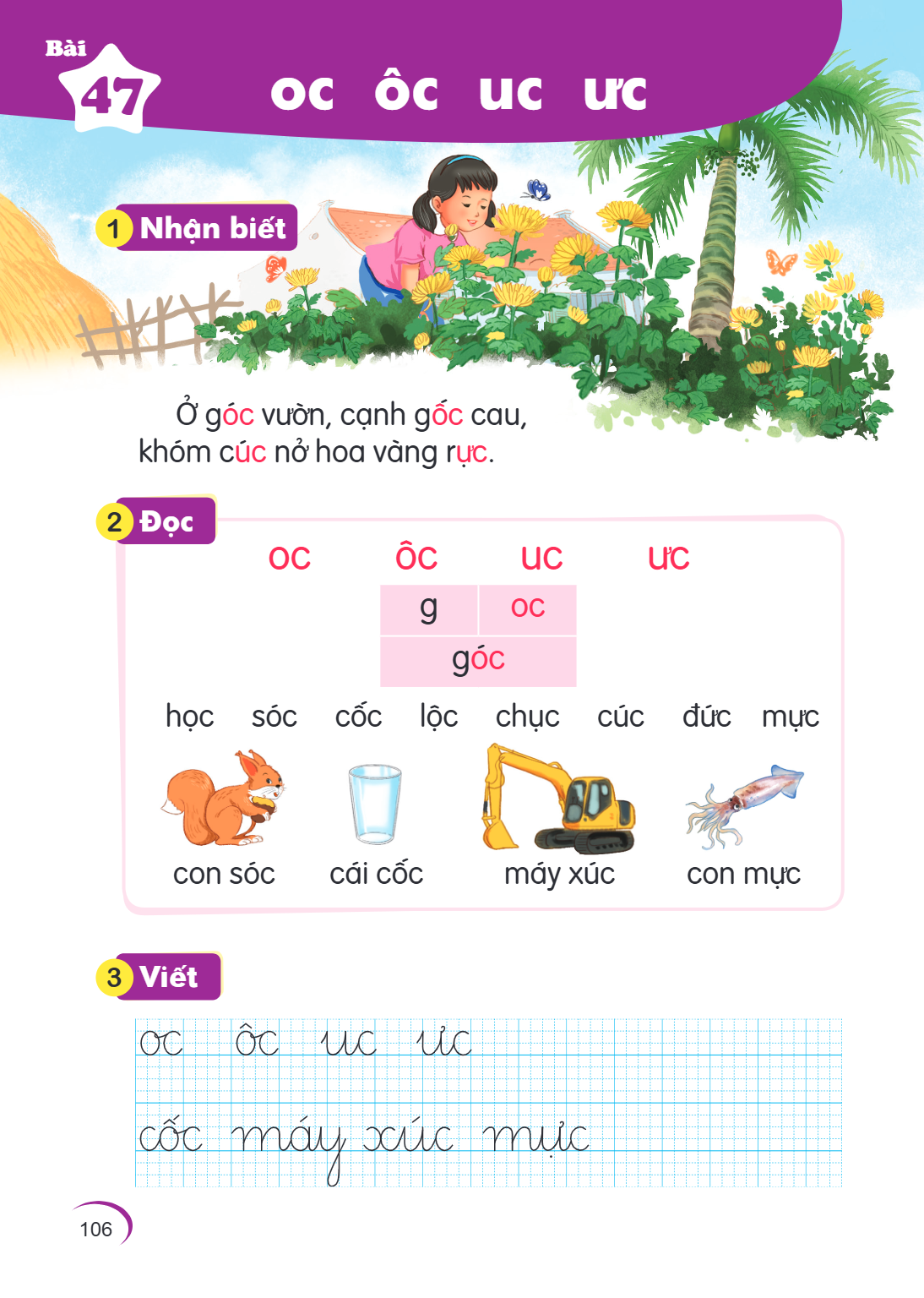 Bài 47. oc ôc uc ưc 1 Nhận biết Ở gốc vườn, cạnh gốc cau, khóm cúc nở hoa vàng rực. 2 Đọc oc ôc uc ưc g, oc gốc học sóc cốc lọc chúc cúc đực mực con sóc cái cốc
