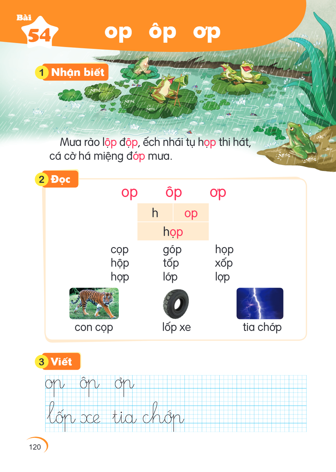 Bài 54. op ôp ơp 1 Nhận biết Mua rào lộp độp, ếch nhái tụ họp thi hát, cá cờ há miệng đớp mua. 2 Đọc op ôp ơp h, op hop cọp, góp, họp hộp, tốp, xốp họp, lóp, lọ