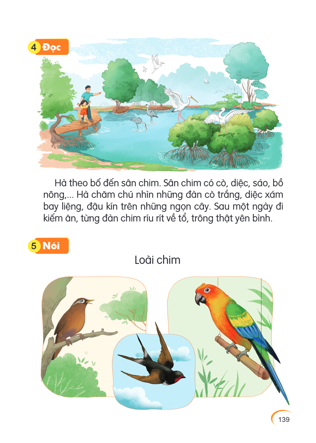 4 Đọc Hà theo bố đến sân chim. Sân chim có cò, diệc, sáo, bồ nông,... Hà chăm chú nhìn những đàn cò trắng, diệc xám bay liệng, đậu kín trên những ngọn cây. Sau 