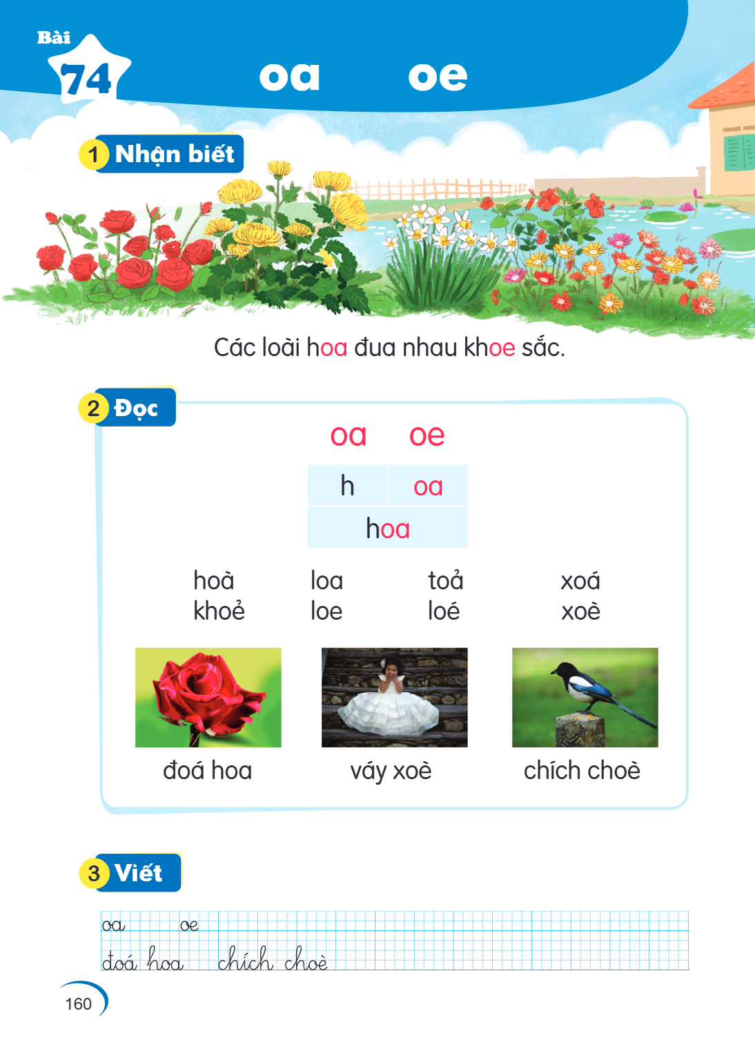 Bài 74. oa oe 1 Nhận biết Các loài hoa đua nhau khoe sắc. 2 Đọc oa, oe h, oa hoa hoà loa toả xoá khoẻ loe loé xoè đoá hoa váy xoè chích choè 3 Viết oa oe đoá ho