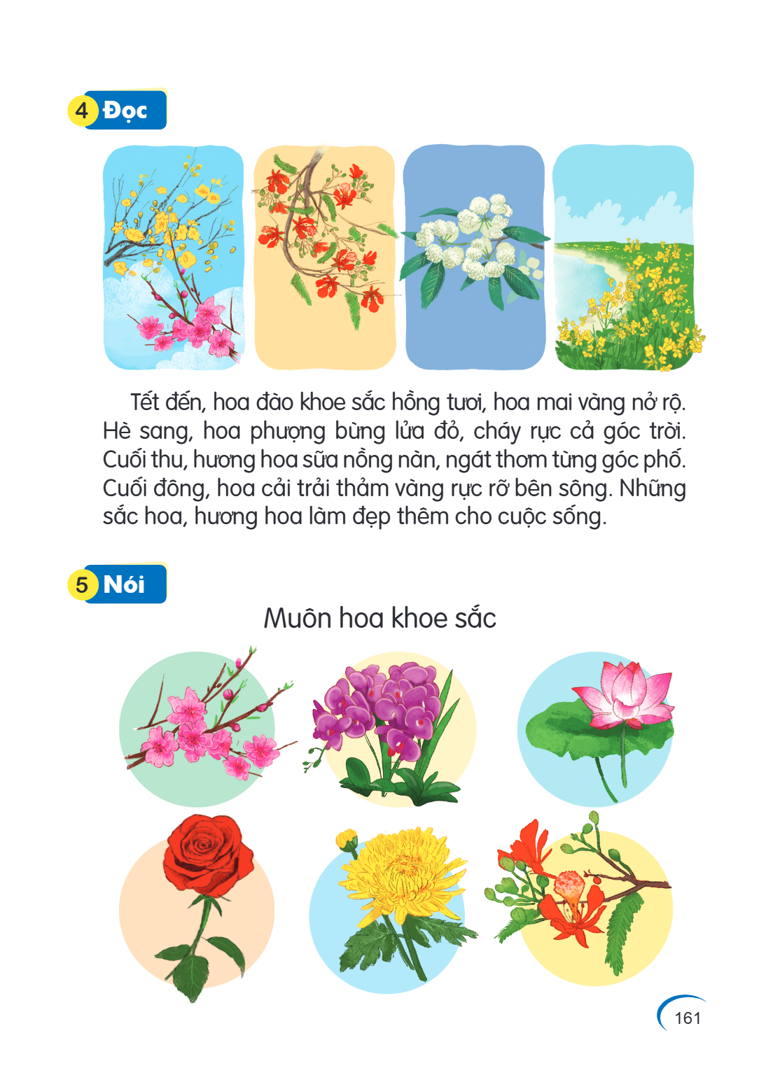 4 Đọc Tết đến, hoa đào khoe sắc hồng tươi, hoa mai vàng nở rộ. Hè sang, hoa phượng bừng lửa đỏ, cháy rực cả góc trời. Cuối thu, hương hoa sữa nồng nàn, ngát thơ