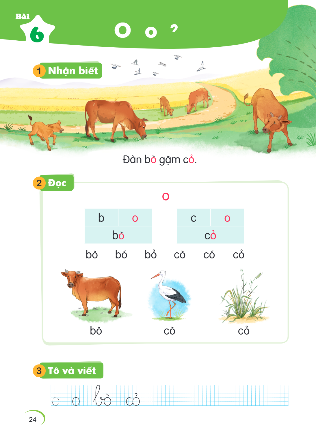 Bài 6. O o 1 Nhận biết Đàn bò gặm cỏ. 2 Đọc O b o c o bò cỏ bò bó bỏ cò có cỏ bò cò cỏ 3 Tô và viết o o bò cỏ