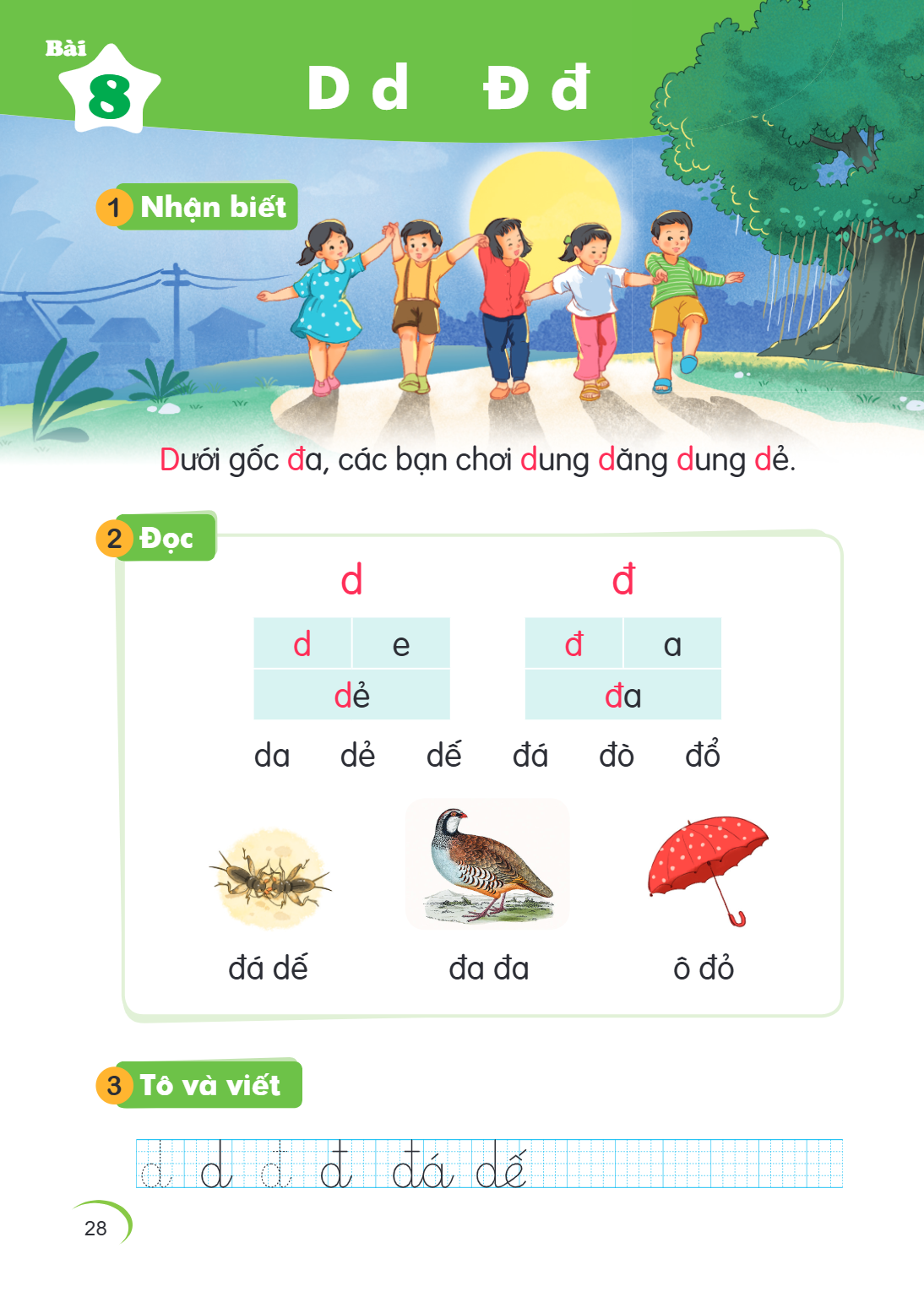 Bài 8. D d Đ đ 1 Nhận biết Dưới gốc đa, các bạn chơi dung dăng dung dẻ. 2 Đọc d đ d, e dẻ đ, a đa da dẻ để đá dò đỏ đá dế đa đa ô đỏ 3 Tô và viết d d đ đ đá dế