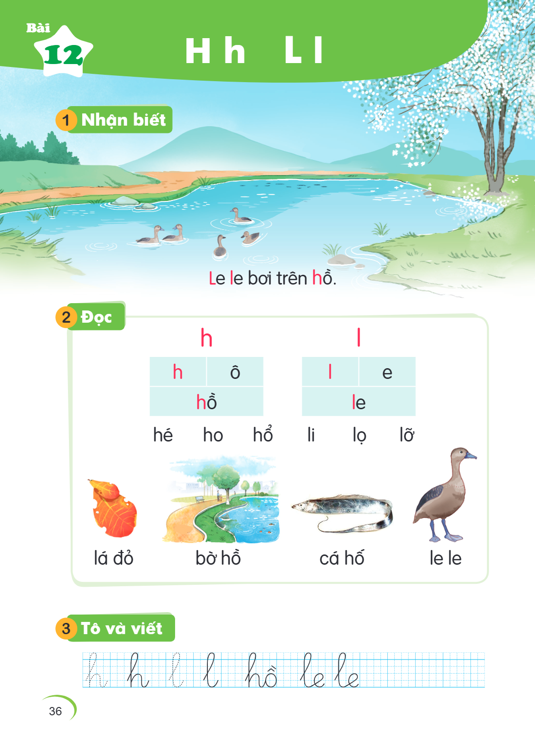 Bài 12. H h L l 1 Nhận biết Le le bơi trên hồ. 2 Đọc h l h, ô hồ l, e le hé ho hổ li lọ lỡ lá đỏ bờ hồ cá hố le le 3 Tô và viết h h l l hồ le le