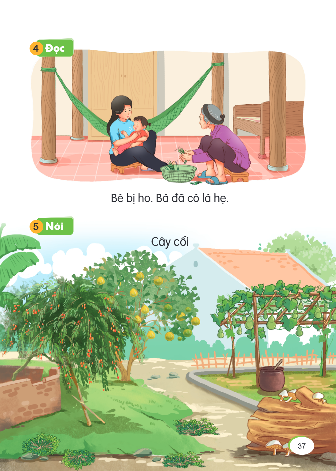 4 Đọc Bé bị ho. Bà đã có lá hẹ. 5 Nói Cây cối