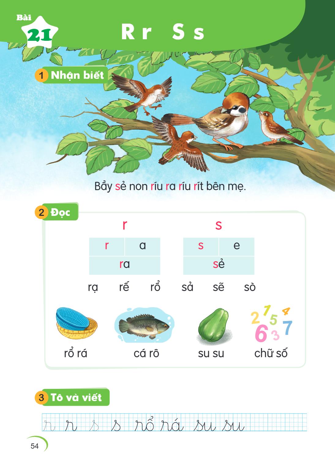 Bài 21. R r S s 1 Nhận biết Bầy sẻ non ríu ra ríu rít bên mẹ. 2 Đọc r, s r, a, s ra, sẻ rạ rẻ rỡ sả sẽ sò rổ rá cá rô su su chữ số 3 Tô và viết r r r s s rổ rá 