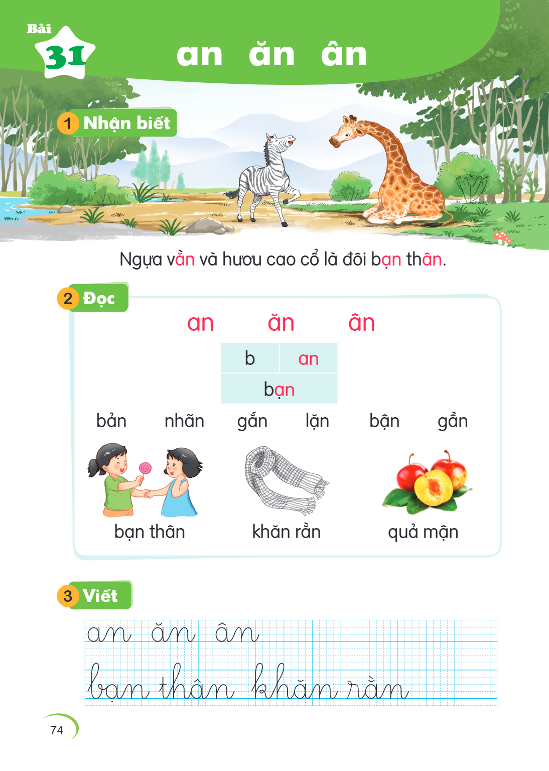 Bài 31. an ăc âc 1 Nhận biết Ngựa vằn và hươu cao cổ là đôi bạn thân. 2 Đọc an ăc âc b, an ban bản nhăn gắn lặn bận gần bạn thân khăn rằn quả mận 3 Viết an ăc â