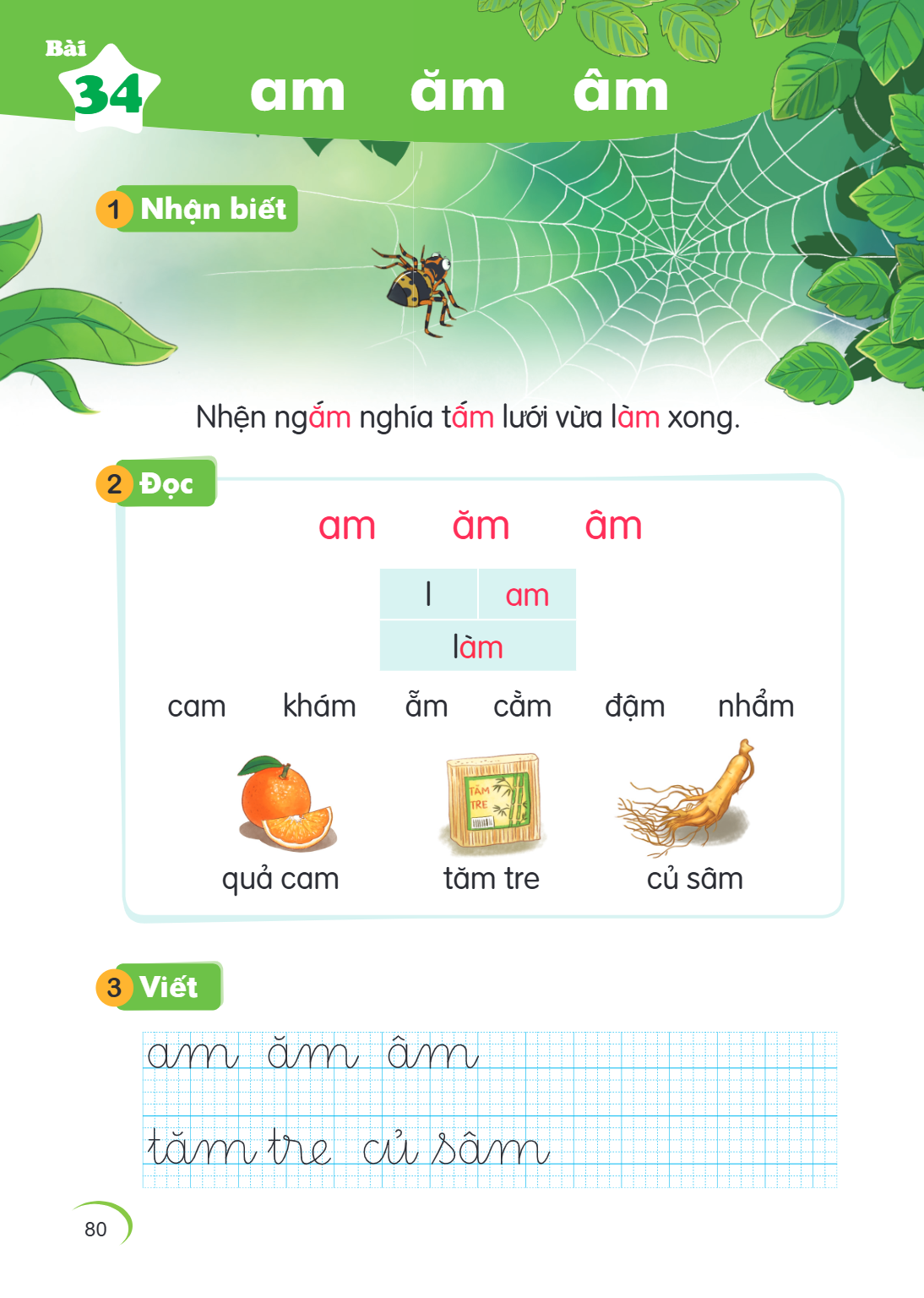 Bài 34. am ăm âm 1 Nhận biết Nhện ngấm nghĩa tấm lưới vừa làm xong. 2 Đọc am ă âm l, am làm cam khám ăm cắm đậm nhẫm quả cam tăm tre củ sâm 3 Viết am ă âm tăm t
