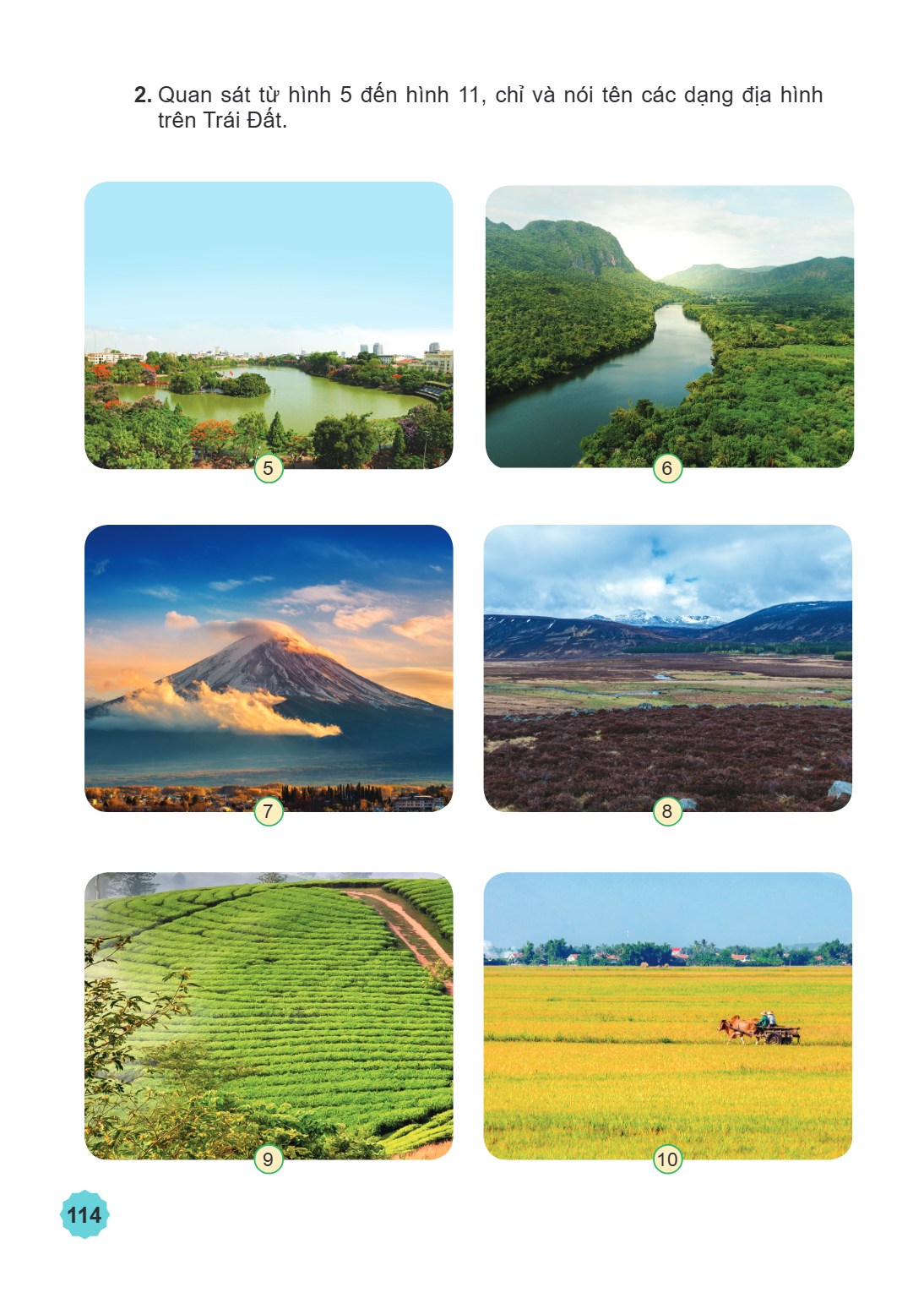 2. Quan sát từ hình 5 đến hình 11, chỉ và nói tên các dạng địa hình trên Trái Đất. 5 6 7 8 9 10