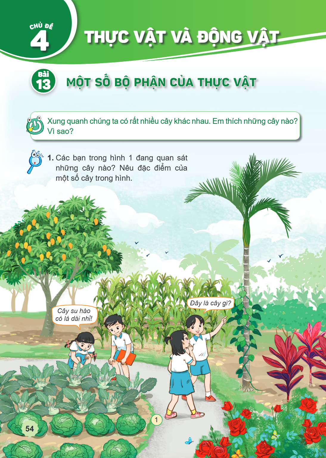 Chủ đề 4. THỰC VẬT VÀ ĐỘNG VẬT Bài 13. Một số bộ phận của thực vật Xung quanh chúng ta có rất nhiều cây khác nhau. Em thích những cây nào? Vì sao? 1. Các bạn tr