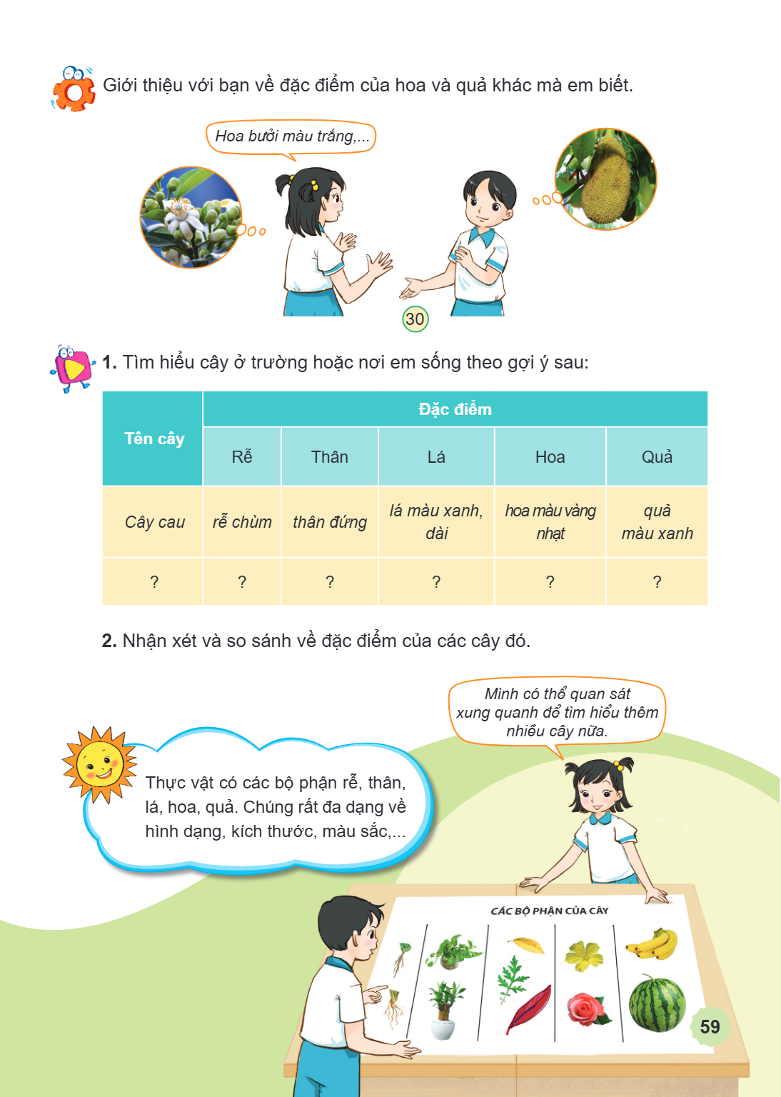 Giới thiệu với bạn về đặc điểm của hoa và quả khác mà em biết. Hoa bưởi màu trắng,... Tìm hiểu cây ở trường hoặc nơi em sống theo gợi ý sau: Tên cây, Đặc điểm /