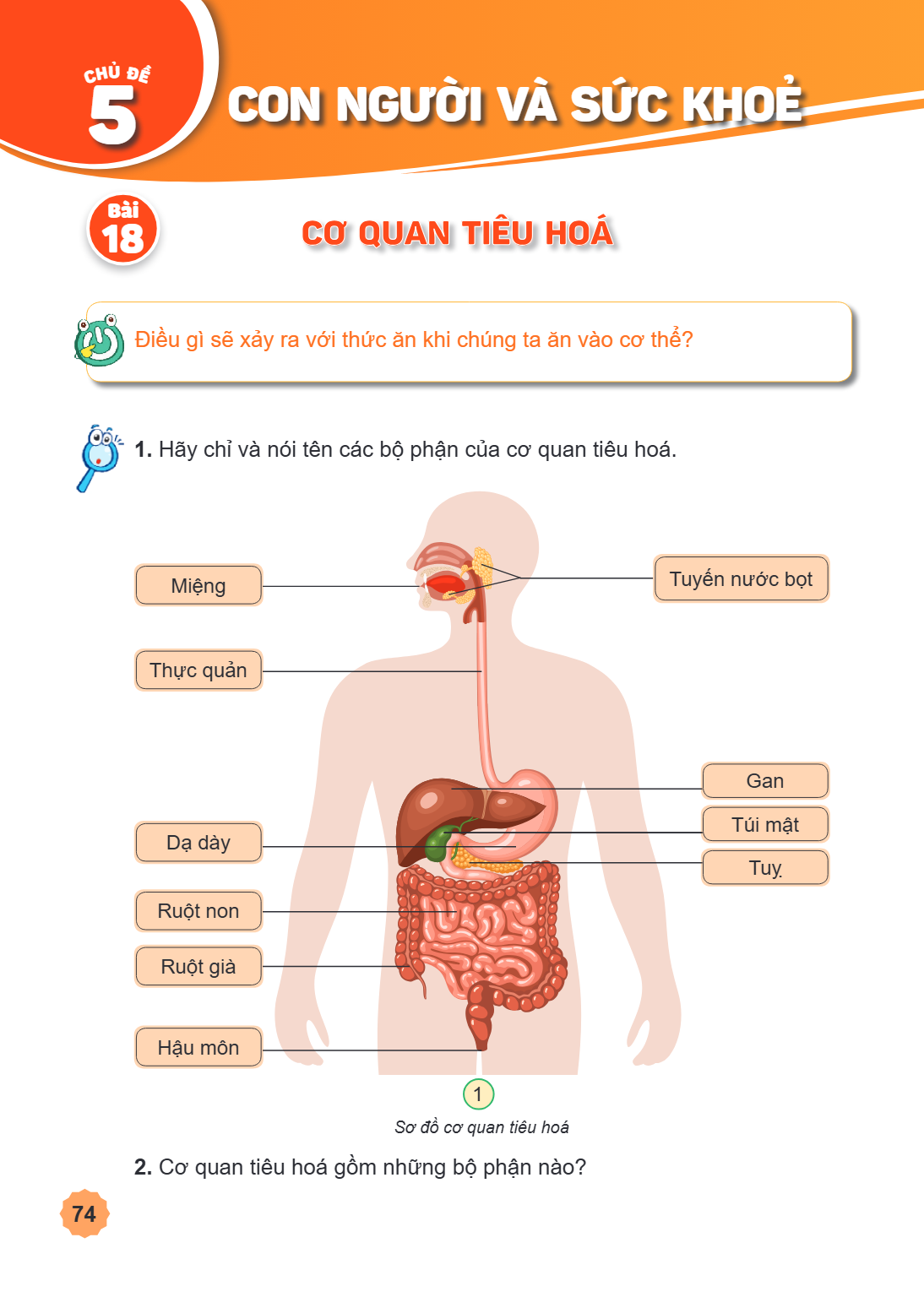 CHỦ ĐỀ 5 CON NGƯỜI VÀ SỨC KHOẺ Bài 18. Cơ quan tiêu hoá Điều gì sẽ xảy ra với thức ăn khi chúng ta ăn vào cơ thể? 1. Hãy chỉ và nói tên các bộ phận của cơ quan 