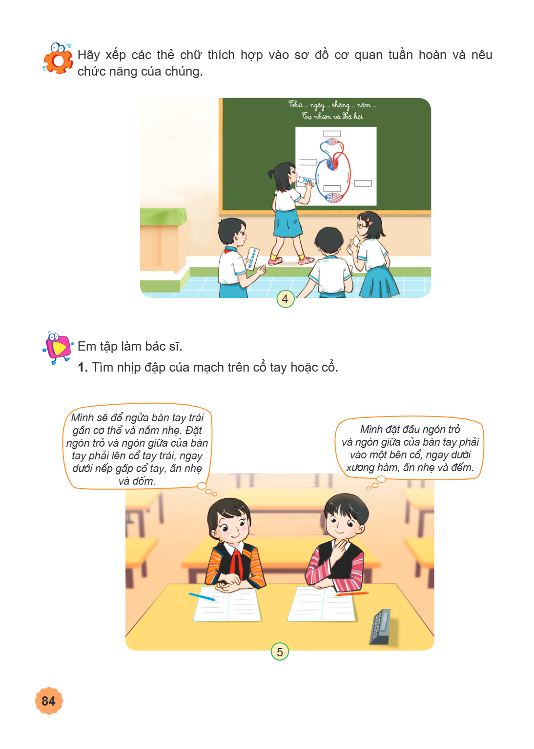 Hãy xếp các thẻ chữ thích hợp vào sơ đồ cơ quan tuần hoàn và nêu chức năng của chúng. Em tập làm bác sĩ. 1. Tìm nhịp đập của mạch trên cổ tay hoặc cổ. Mình sẽ đ