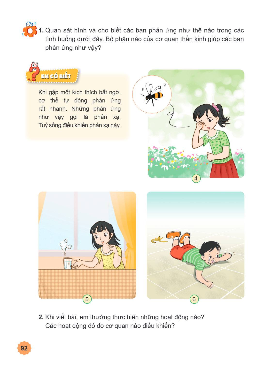 1. Quan sát hình và cho biết các bạn phản ứng như thế nào trong các tình huống dưới đây. Bộ phận nào của cơ quan thần kinh giúp các bạn phản ứng như vậy? Em có 