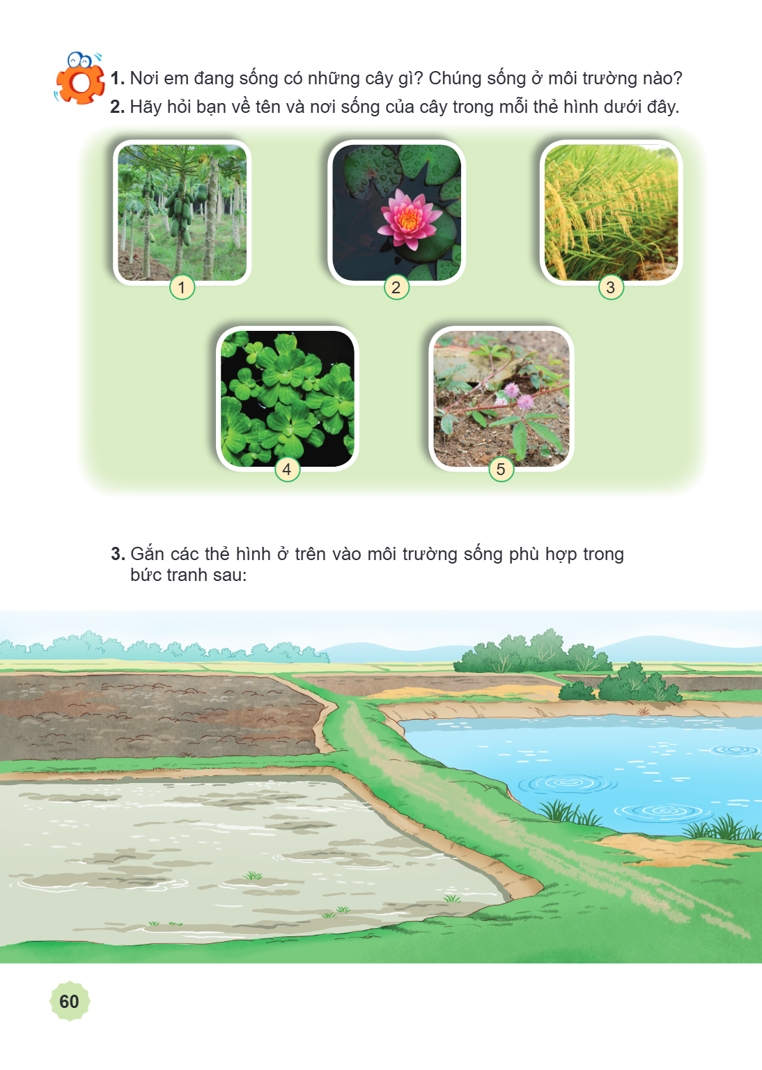 1. Nơi em đang sống có những cây gì? Chúng sống ở môi trường nào? 2. Hãy hỏi bạn về tên và nơi sống của cây trong mỗi thẻ hình dưới đây. 1 2 3 4 5 3. Gắn các th