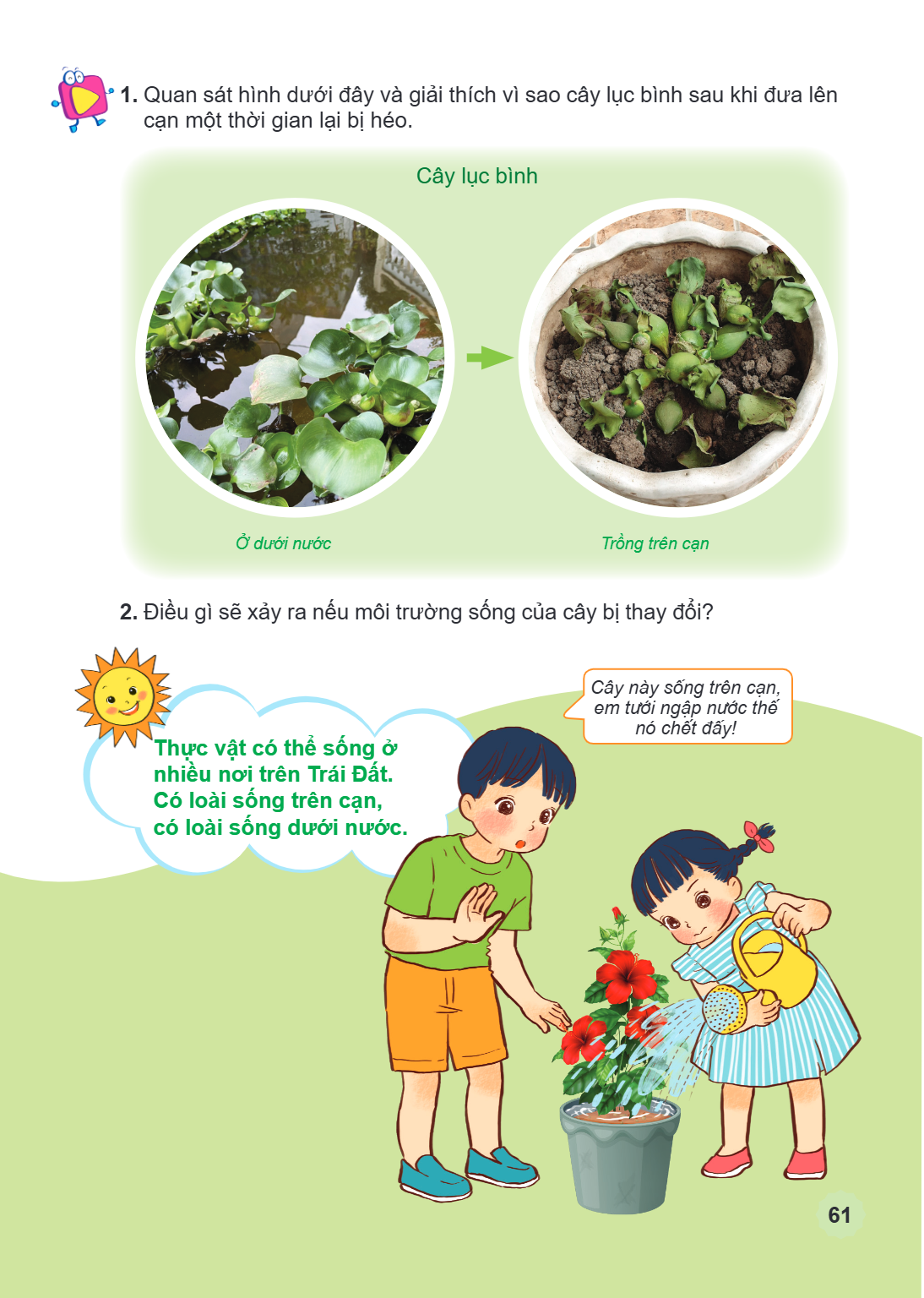 Quan sát hình dưới đây và giải thích vì sao cây lục bình sau khi đưa lên cạn một thời gian lại bị héo. Cây lục bình Ở dưới nước Trồng trên cạn Điều gì sẽ xảy ra
