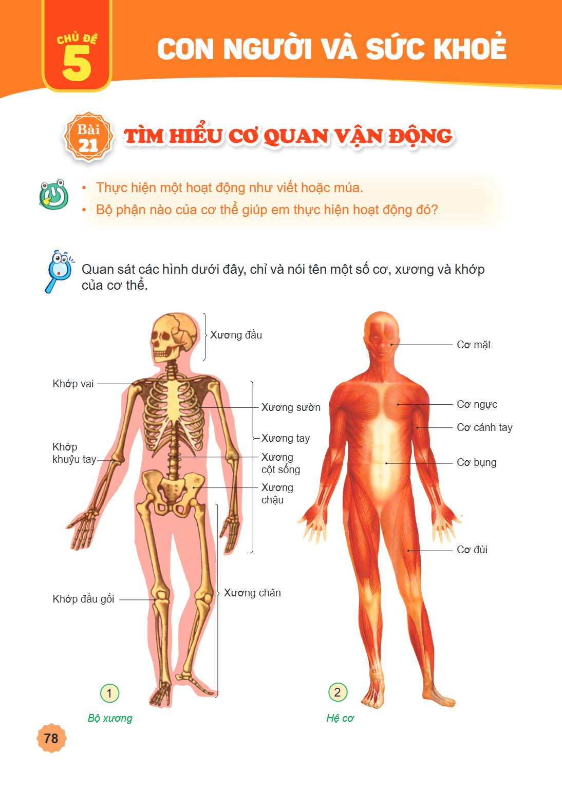 CHỦ ĐỀ 5 CON NGƯỜI VÀ SỨC KHOẺ Bài 21. Tìm hiểu cơ quan vận động Thực hiện một hoạt động như viết hoặc múa. Bộ phận nào của cơ thể giúp em thực hiện hoạt động đ
