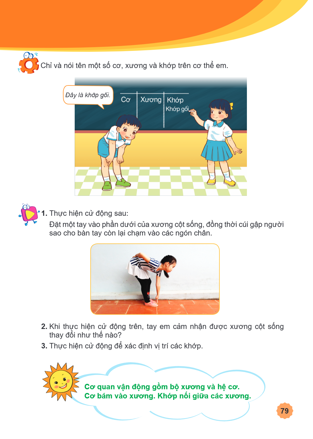 Chỉ và nói tên một số cơ, xương và khớp trên cơ thể em. Đây là khớp gối. 1. Thực hiện cử động sau: Đặt một tay vào phần dưới của xương cột sống, đồng thời cúi g