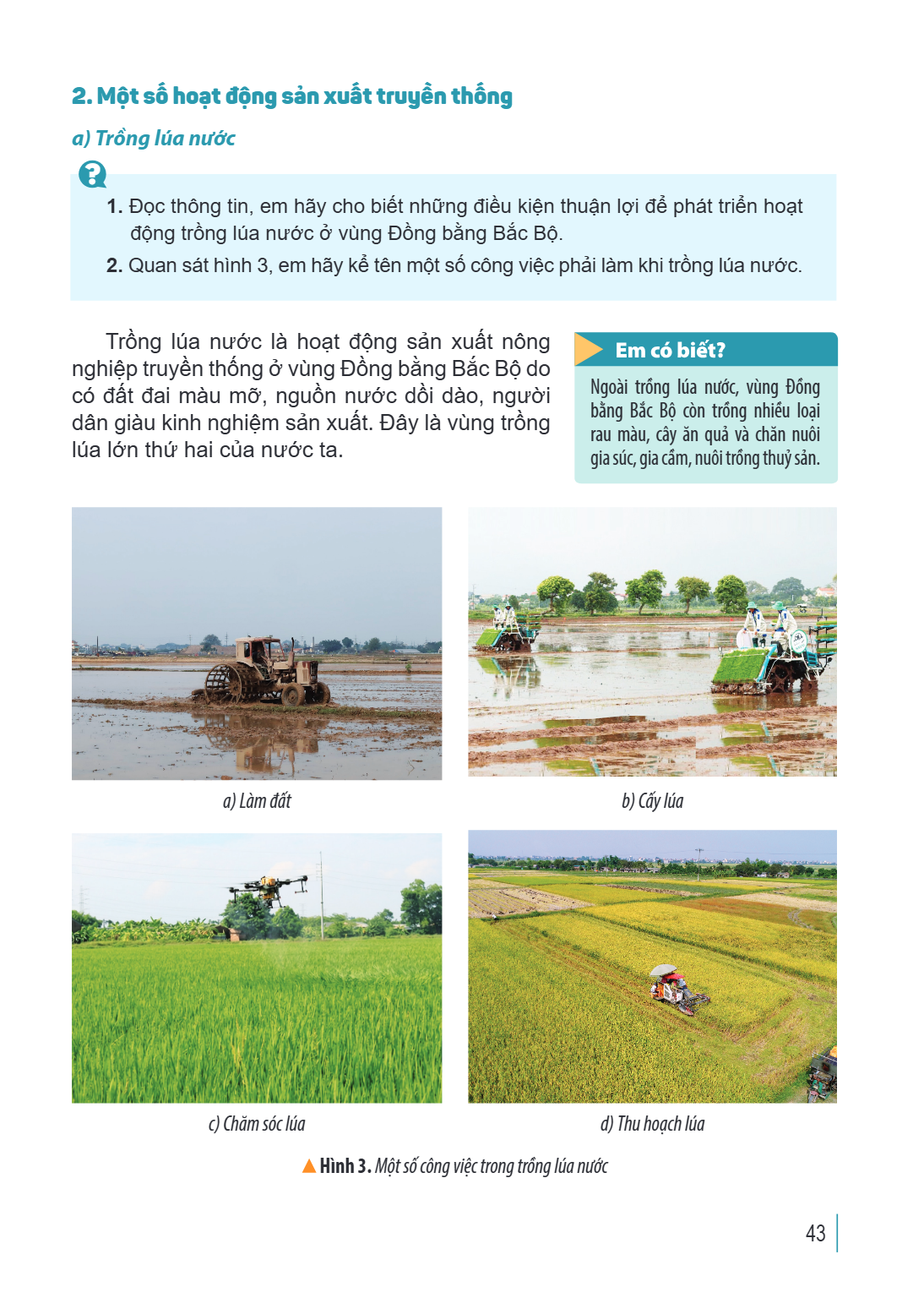 2. Một số hoạt động sản xuất truyền thống a) Trồng lúa nước 1. Đọc thông tin, em hãy cho biết những điều kiện thuận lợi để phát triển hoạt động trồng lúa nước ở