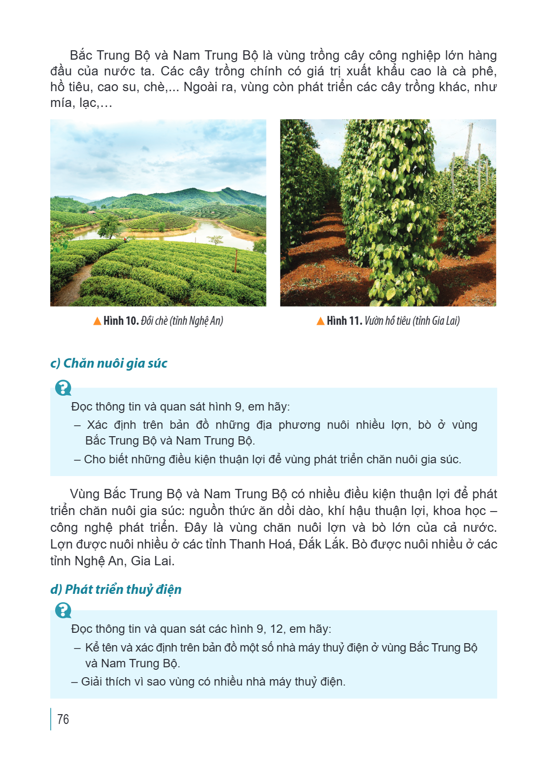 Bắc Trung Bộ và Nam Trung Bộ là vùng trồng cây công nghiệp lớn hàng đầu của nước ta. Các cây trồng chính có giá trị xuất khẩu cao là cà phê, hồ tiêu, cao su, ch